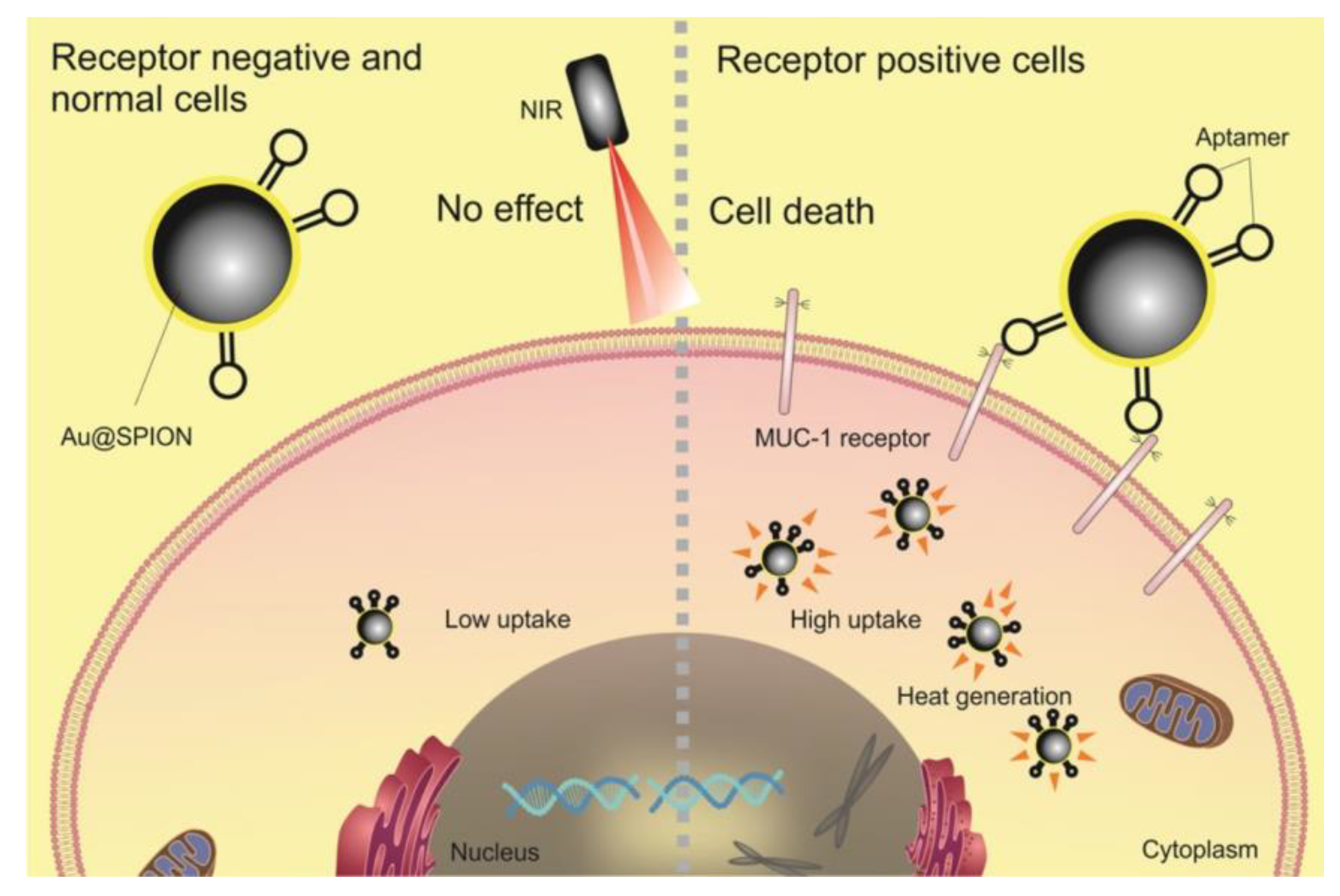 Cancers 15 00383 g004 Cancers 15 00383 g004