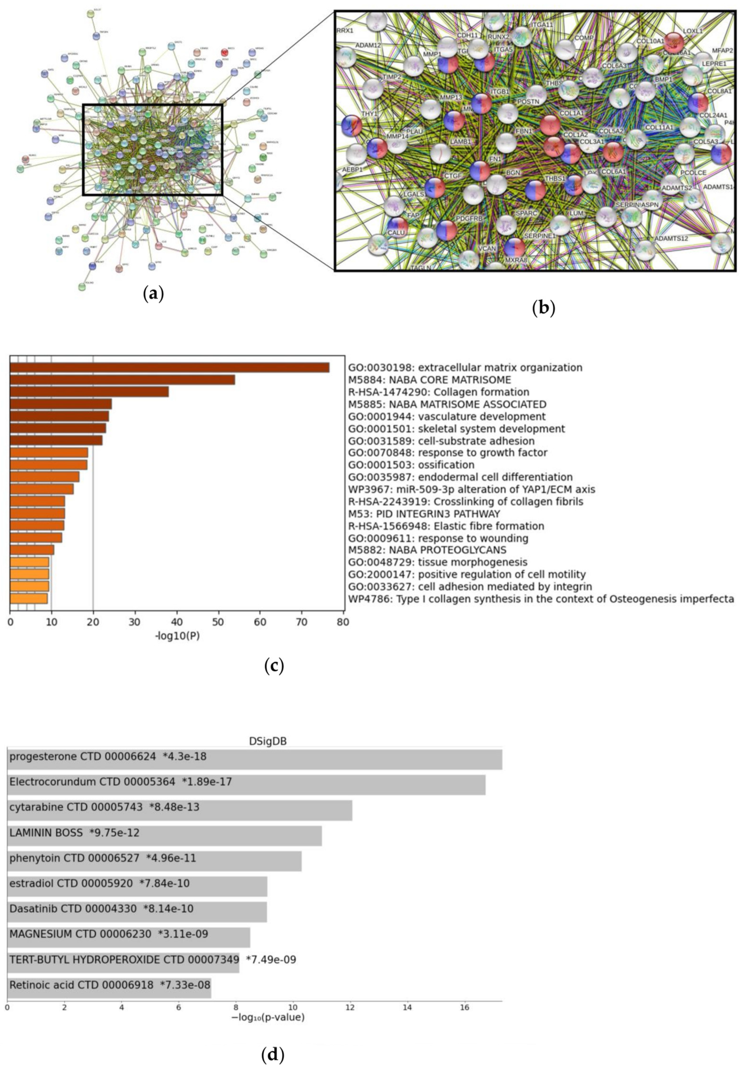 Cancers 15 00392 g004