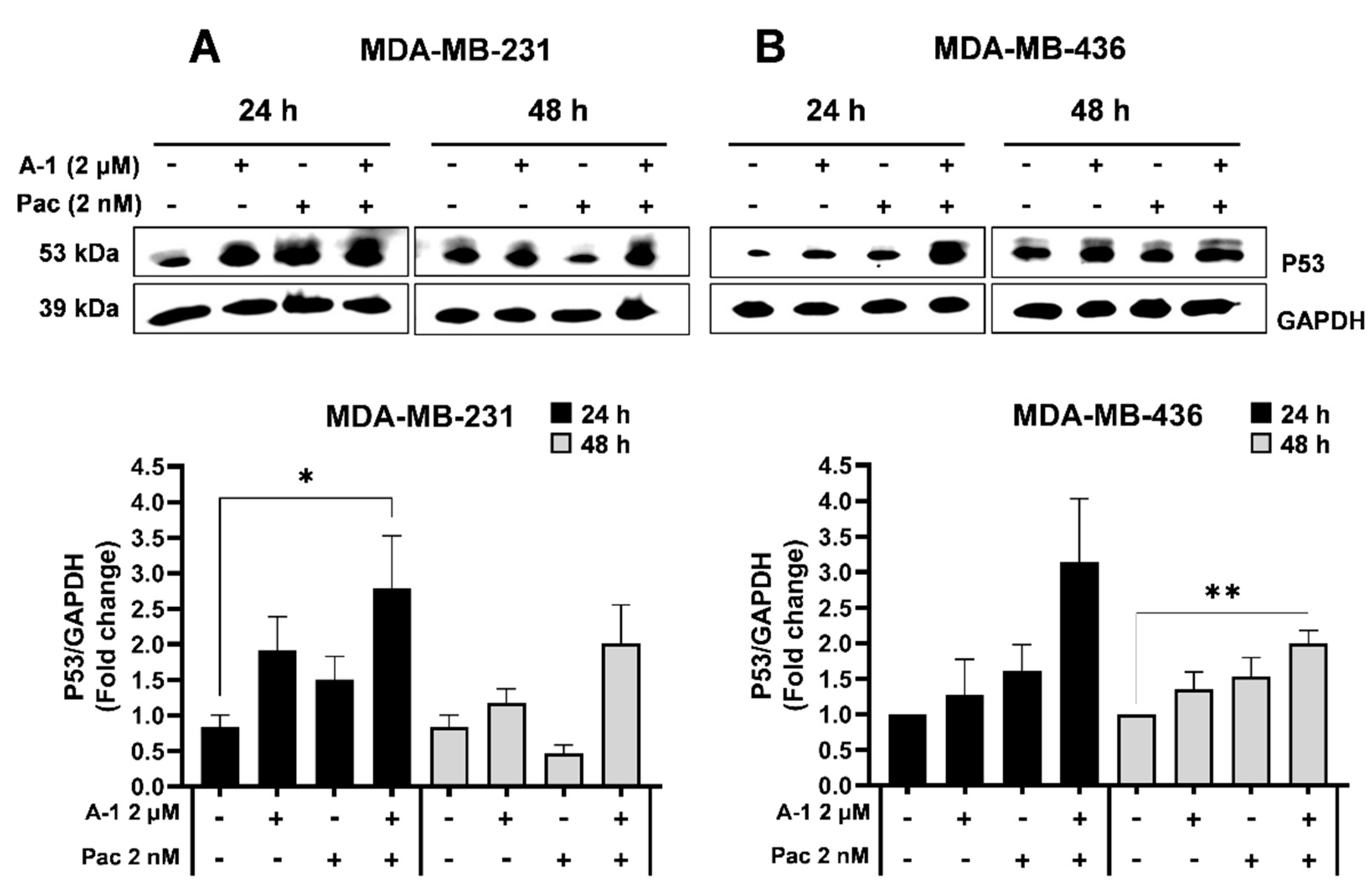 Cancers 15 00399 g007 Cancers 15 00399 g007