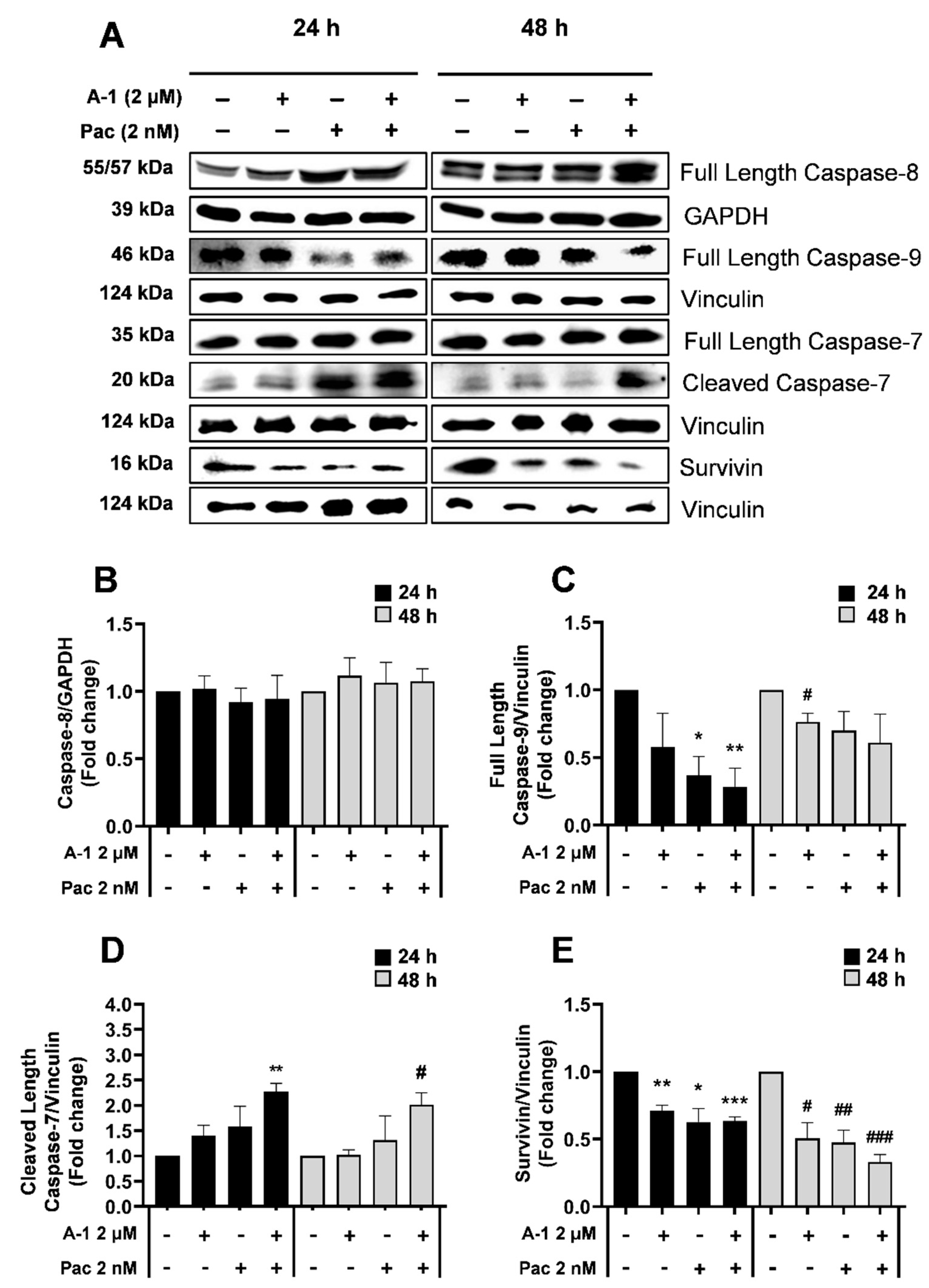 Cancers 15 00399 g010 Cancers 15 00399 g010