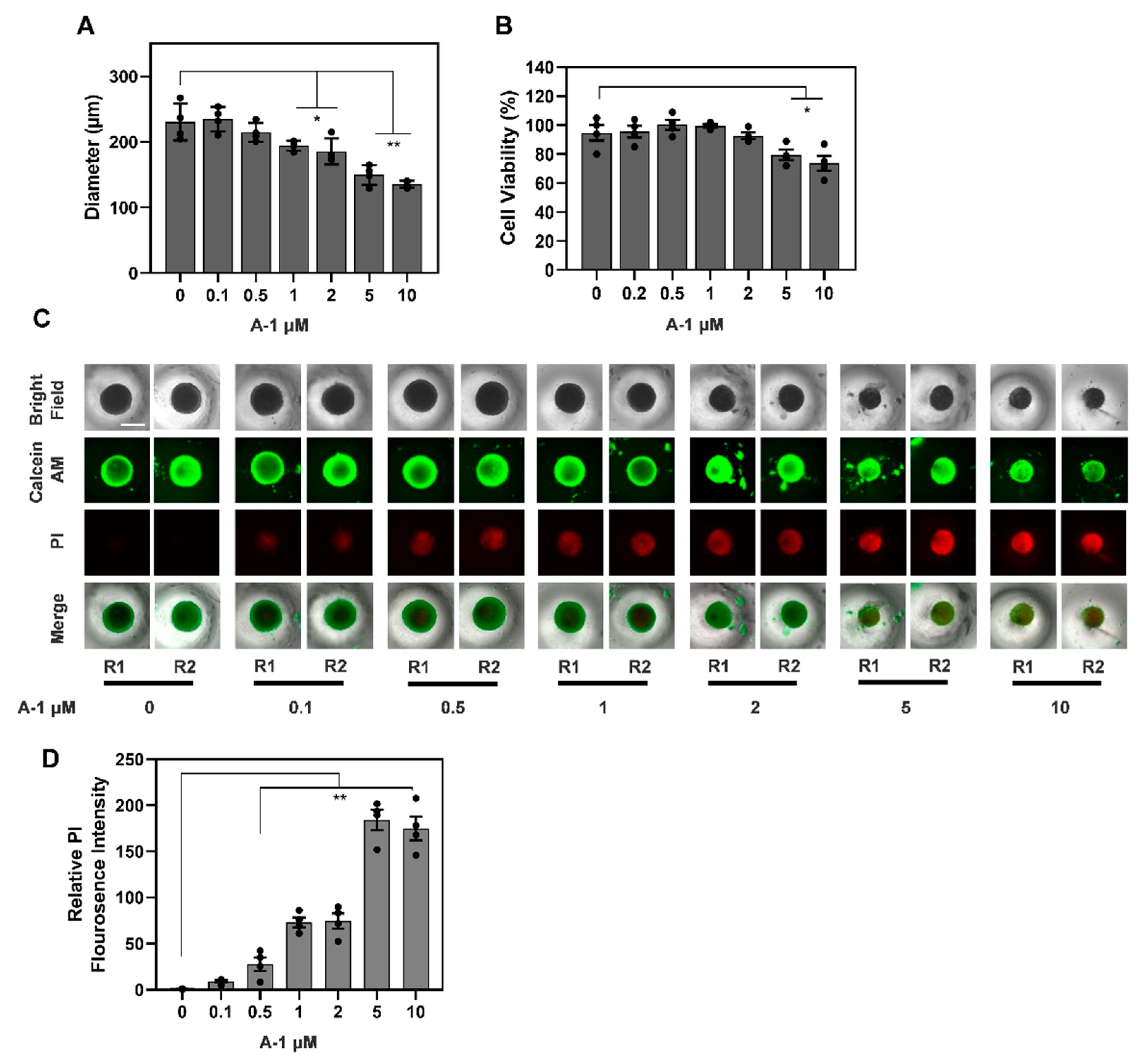Cancers 15 00399 g011 Cancers 15 00399 g011