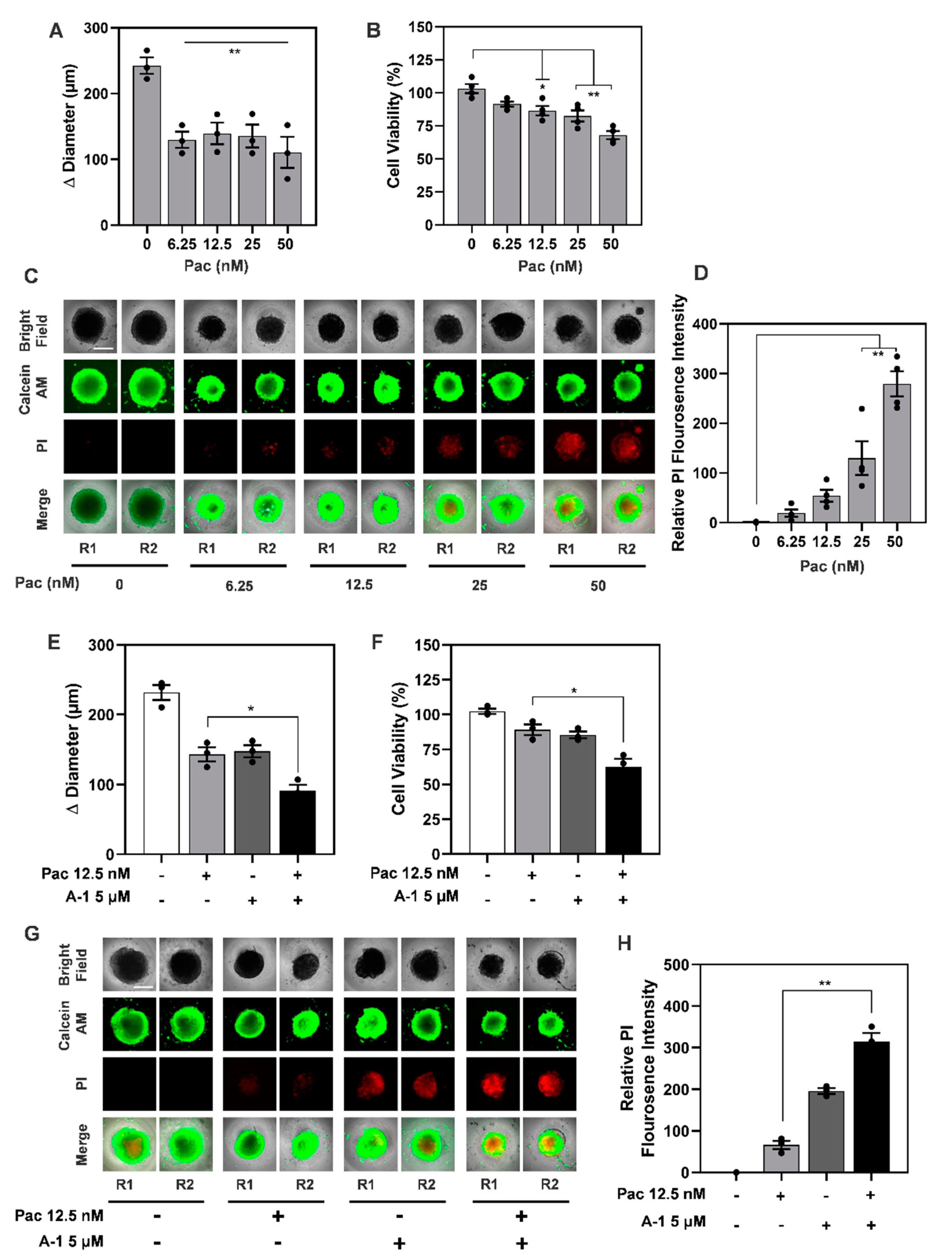 Cancers 15 00399 g012 Cancers 15 00399 g012