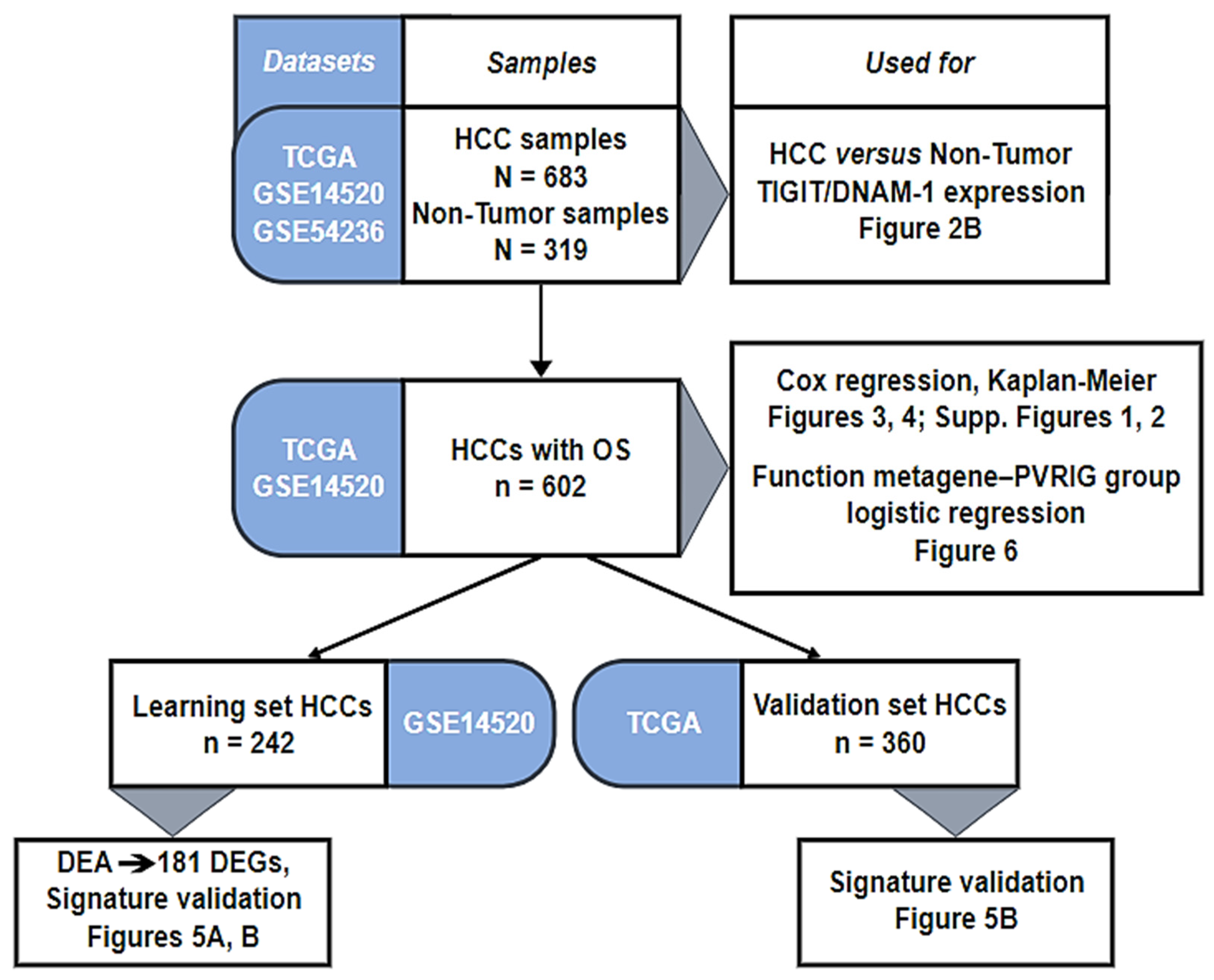 Cancers 15 00447 g001 Cancers 15 00447 g001
