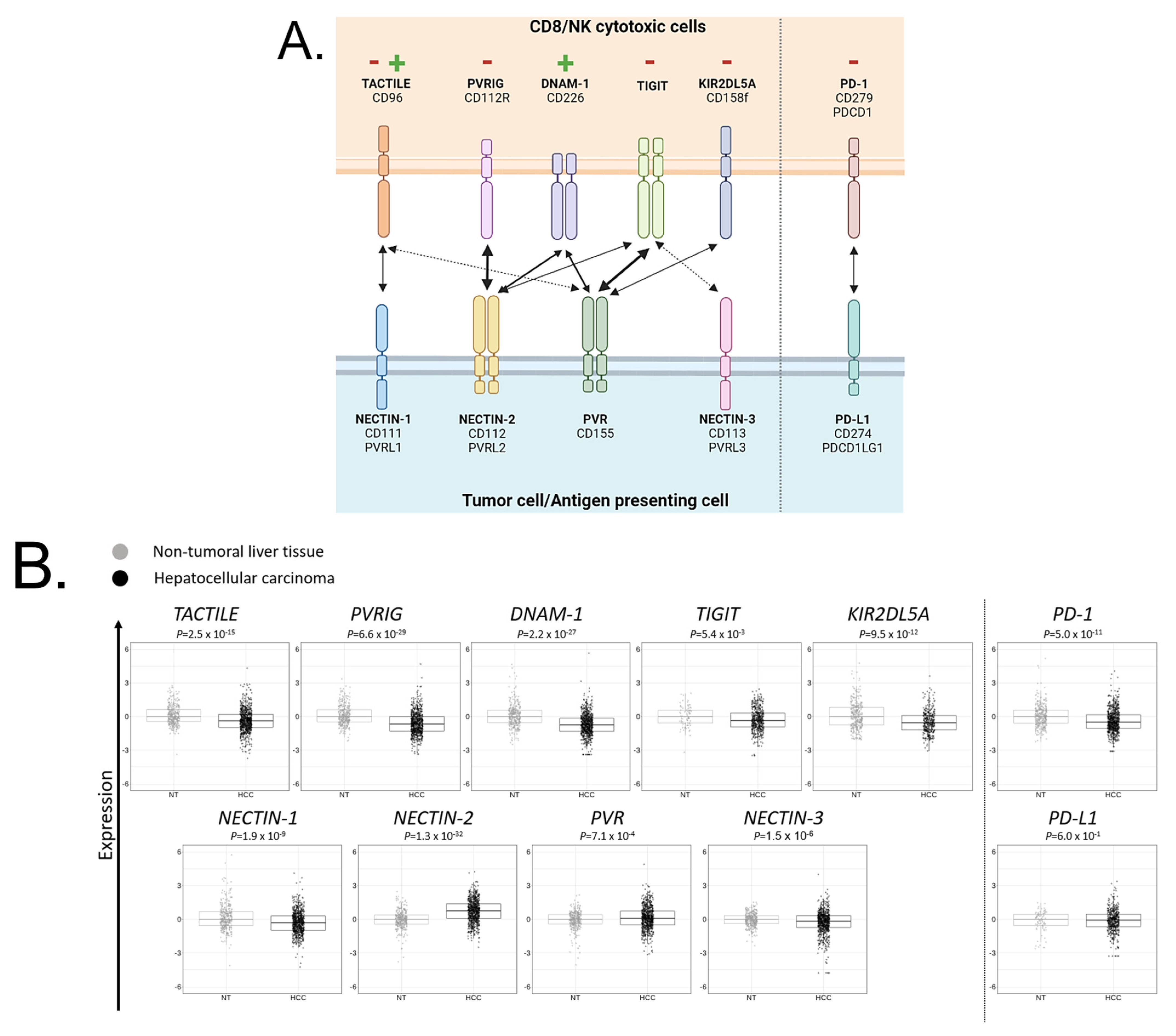 Cancers 15 00447 g002 Cancers 15 00447 g002