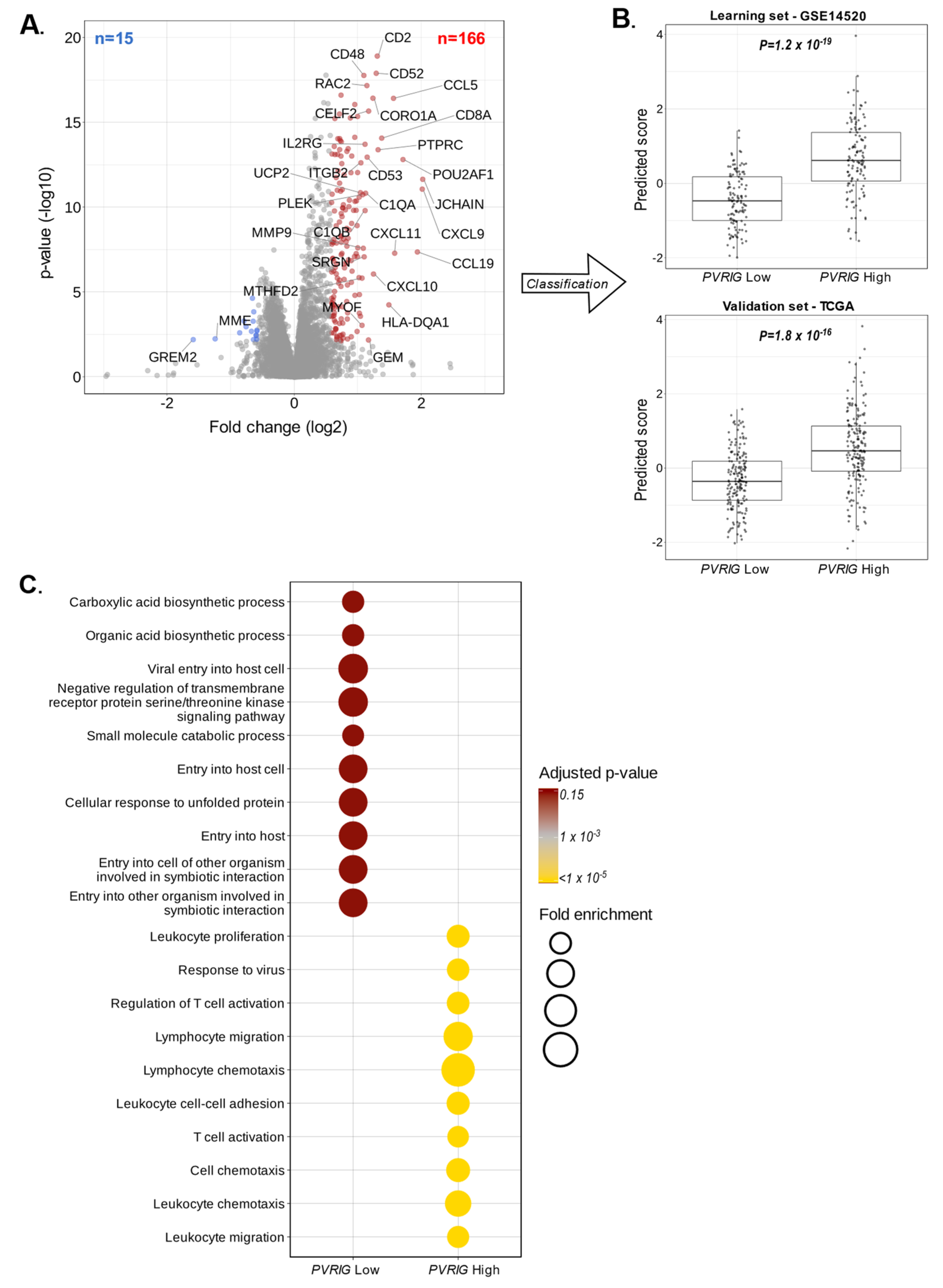 Cancers 15 00447 g005 Cancers 15 00447 g005