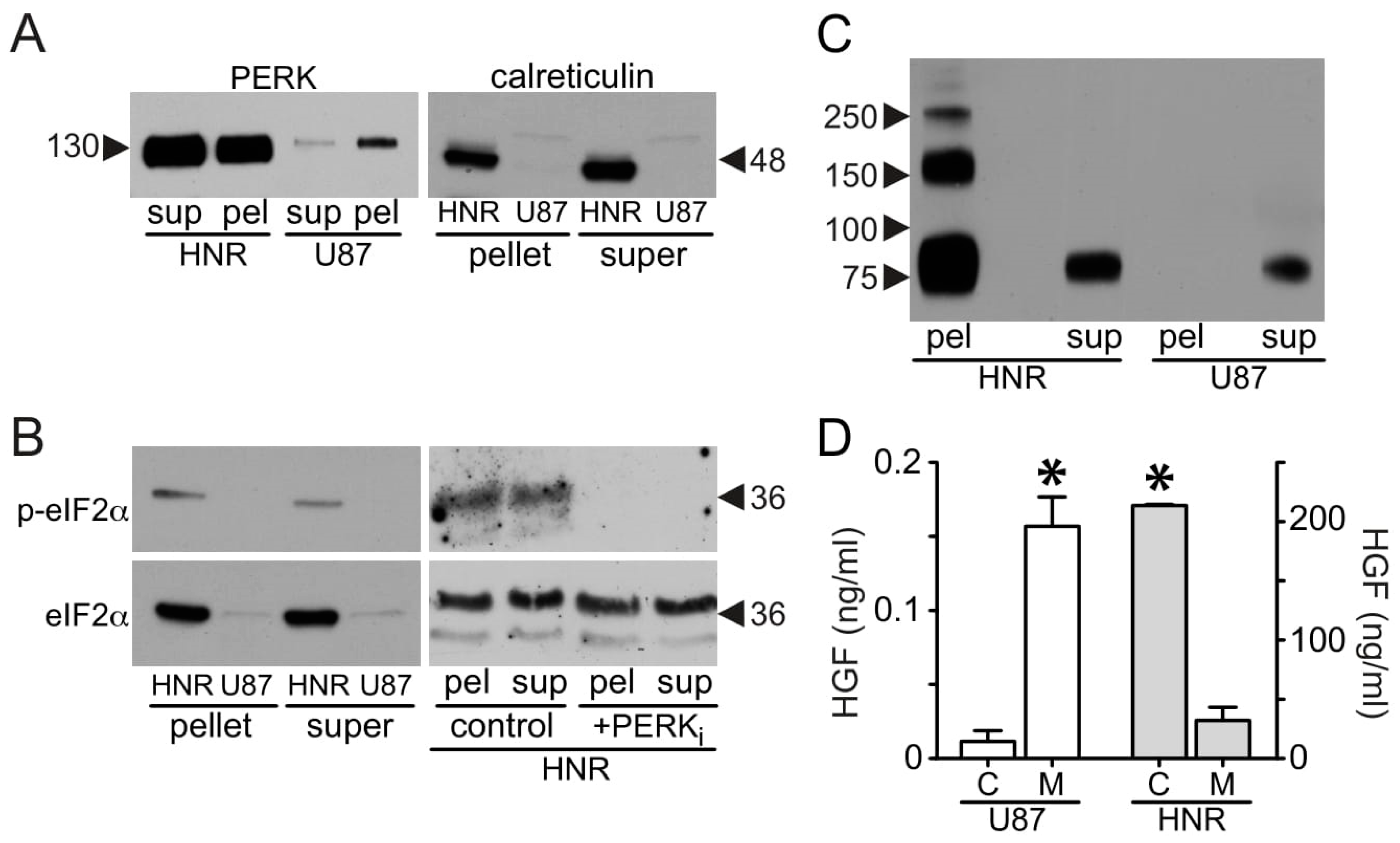 Cancers 15 00460 g008