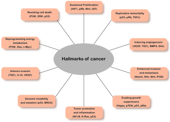 PDF] Hallmarks of Cancer: New Dimensions.