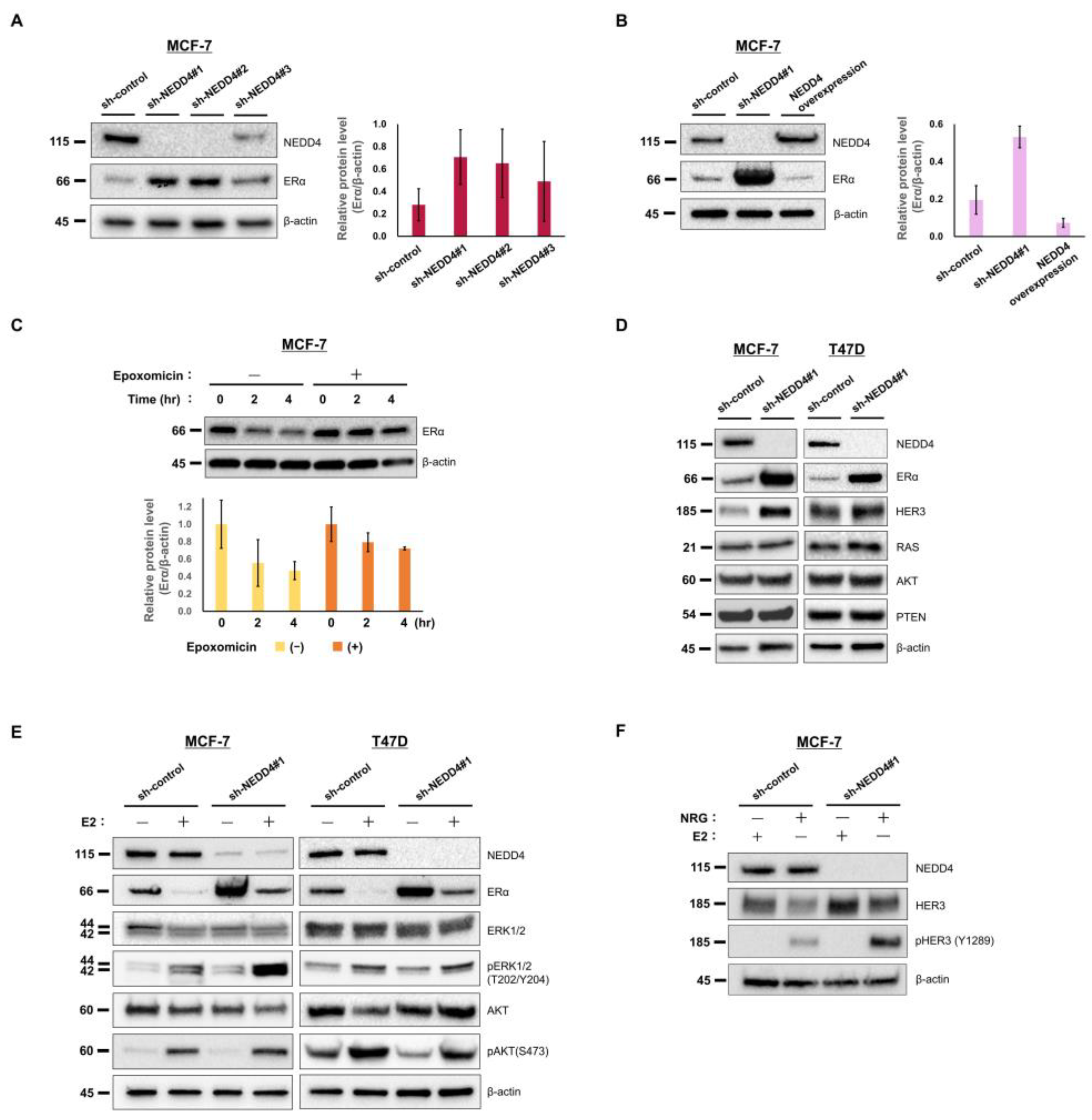 Cancers 15 00539 g003 Cancers 15 00539 g003