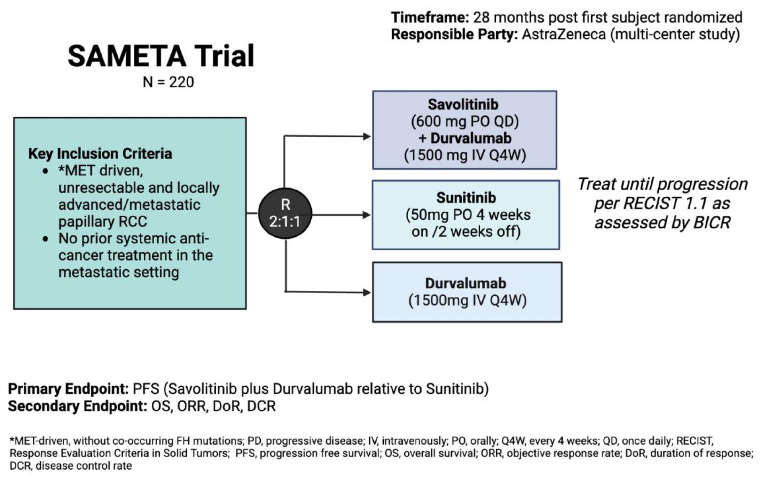 Cancers 15 00565 g001 Cancers 15 00565 g001