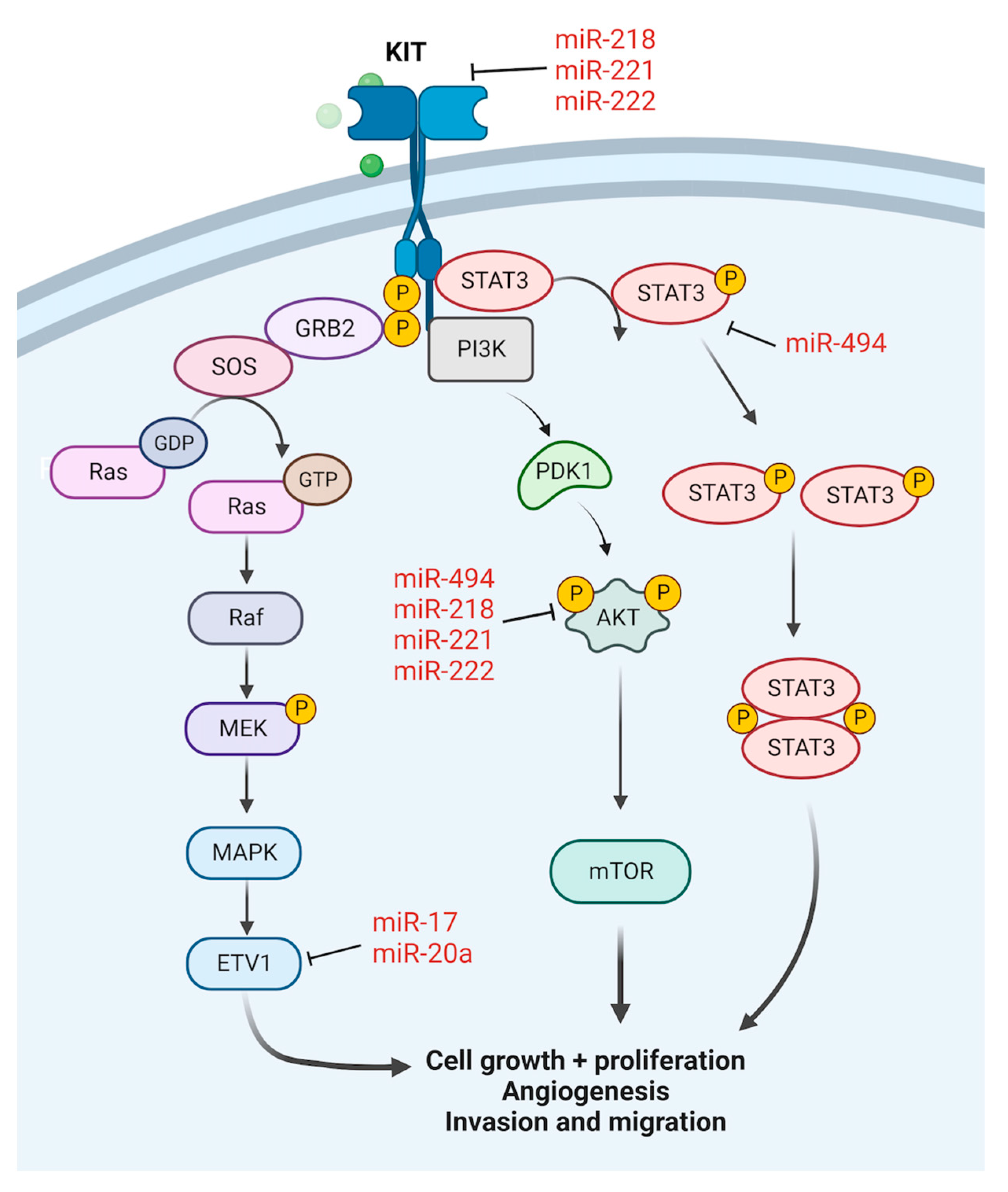 Cancers 15 00577 g002 Cancers 15 00577 g002
