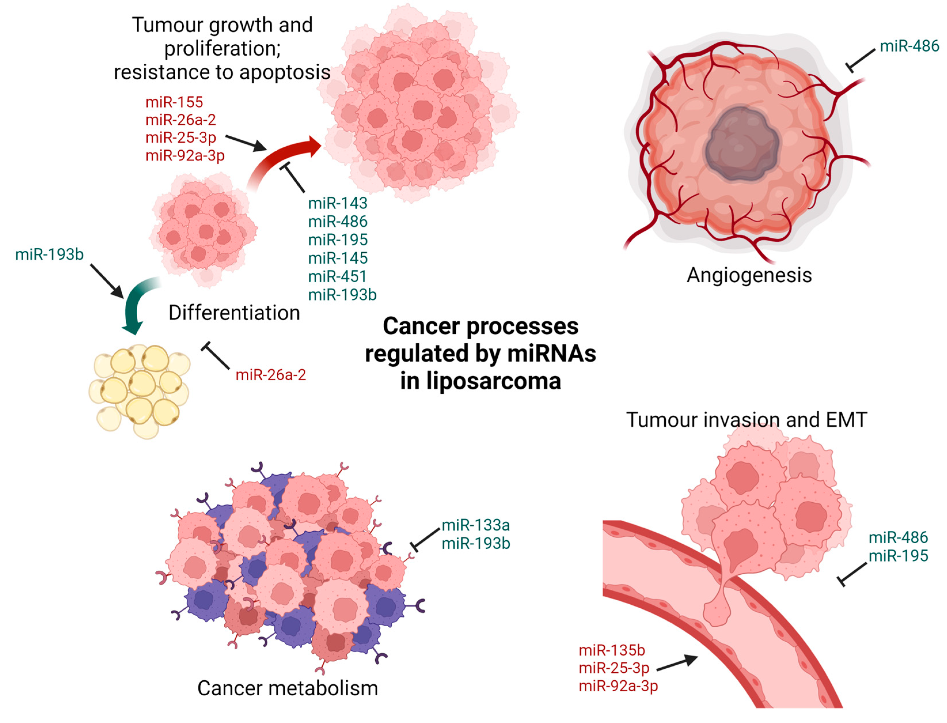 Cancers 15 00577 g003 Cancers 15 00577 g003