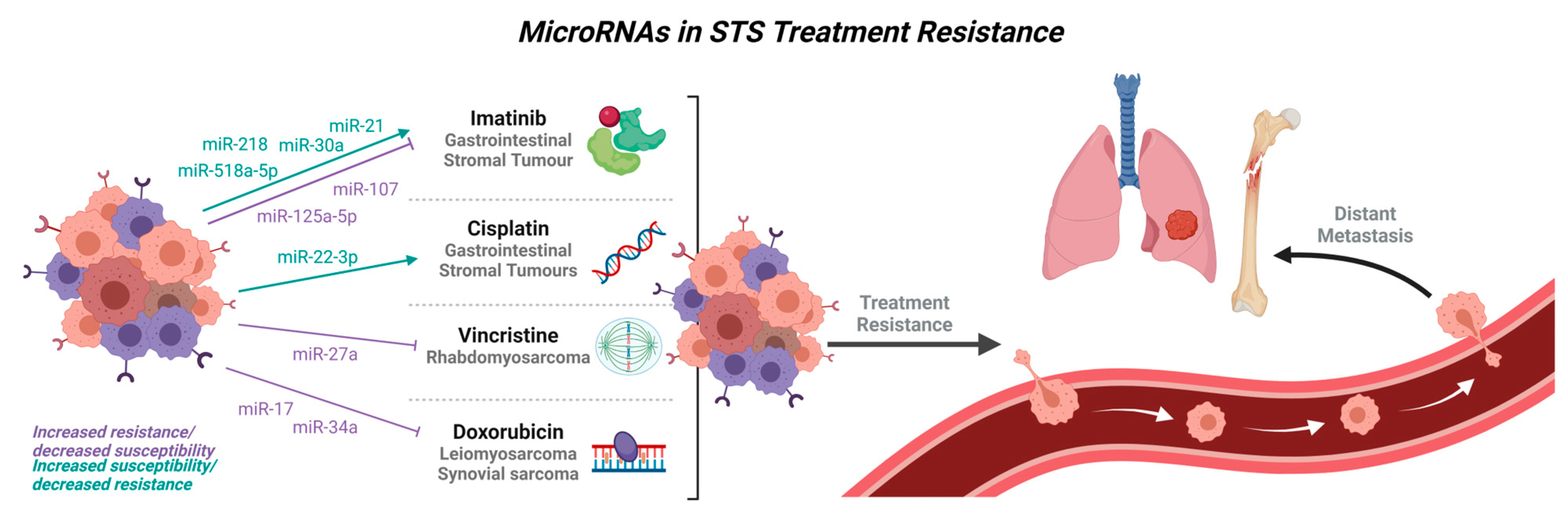 Cancers 15 00577 g004 Cancers 15 00577 g004