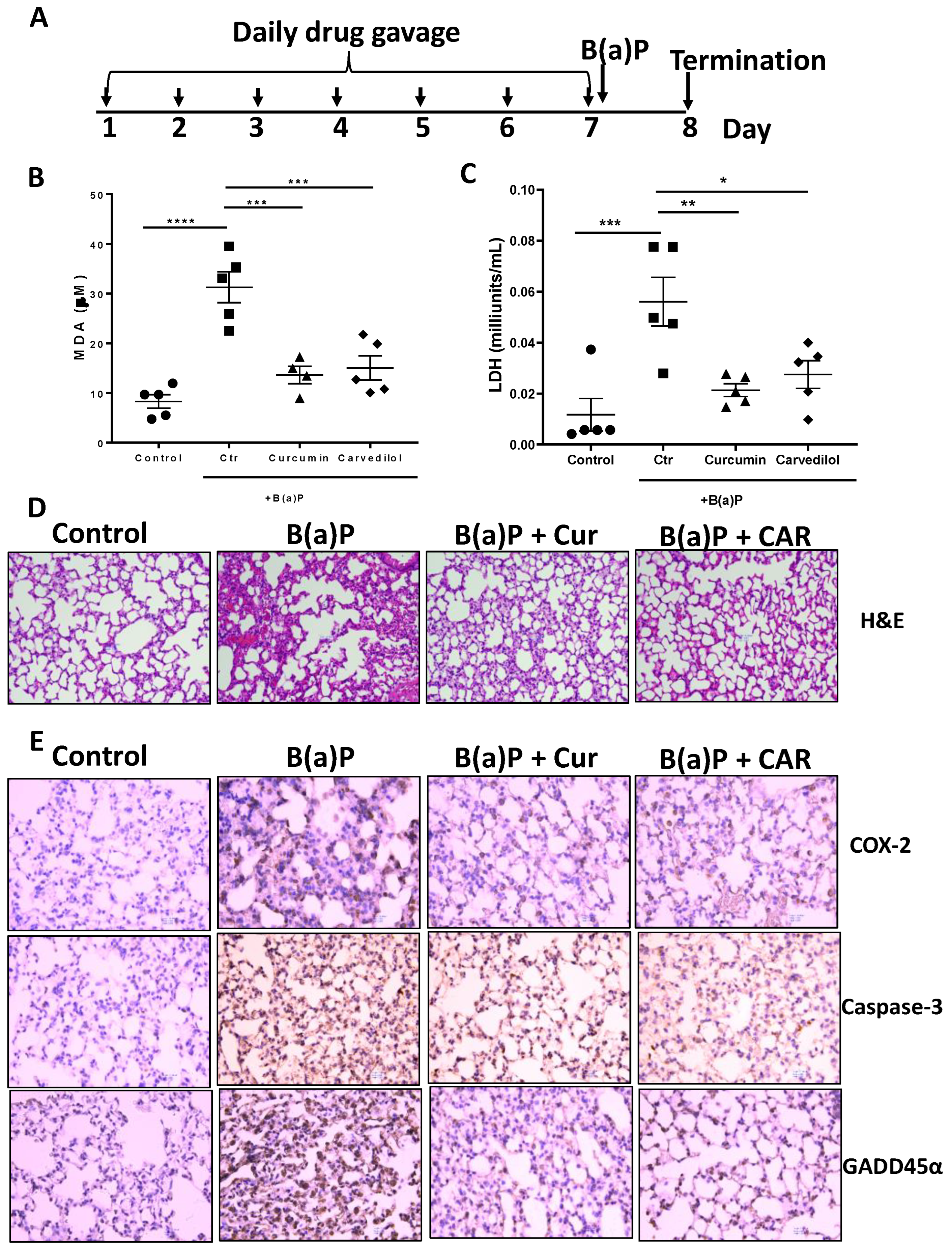 Cancers 15 00583 g003 Cancers 15 00583 g003