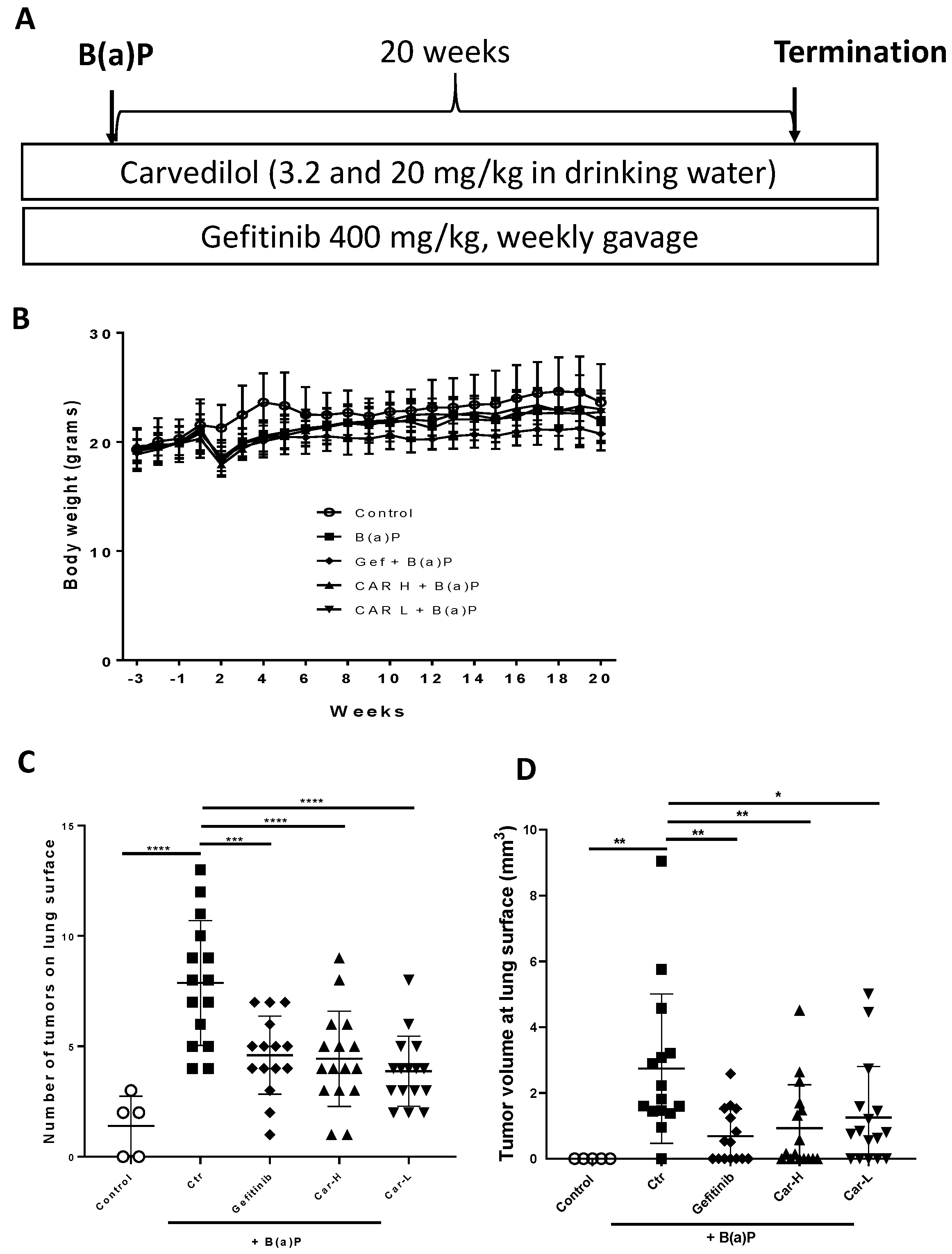 Cancers 15 00583 g004 Cancers 15 00583 g004