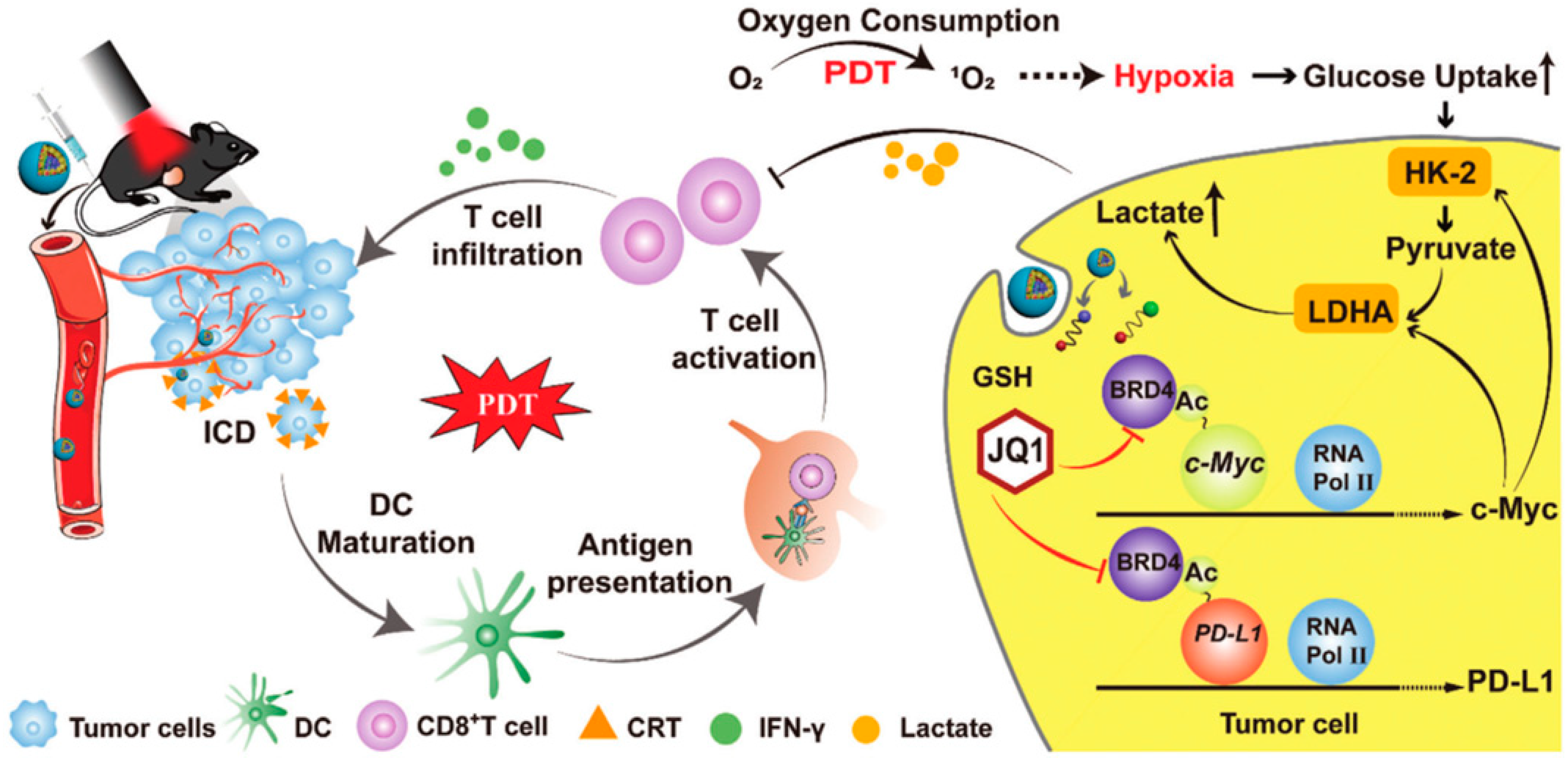 Cancers 15 00585 g004