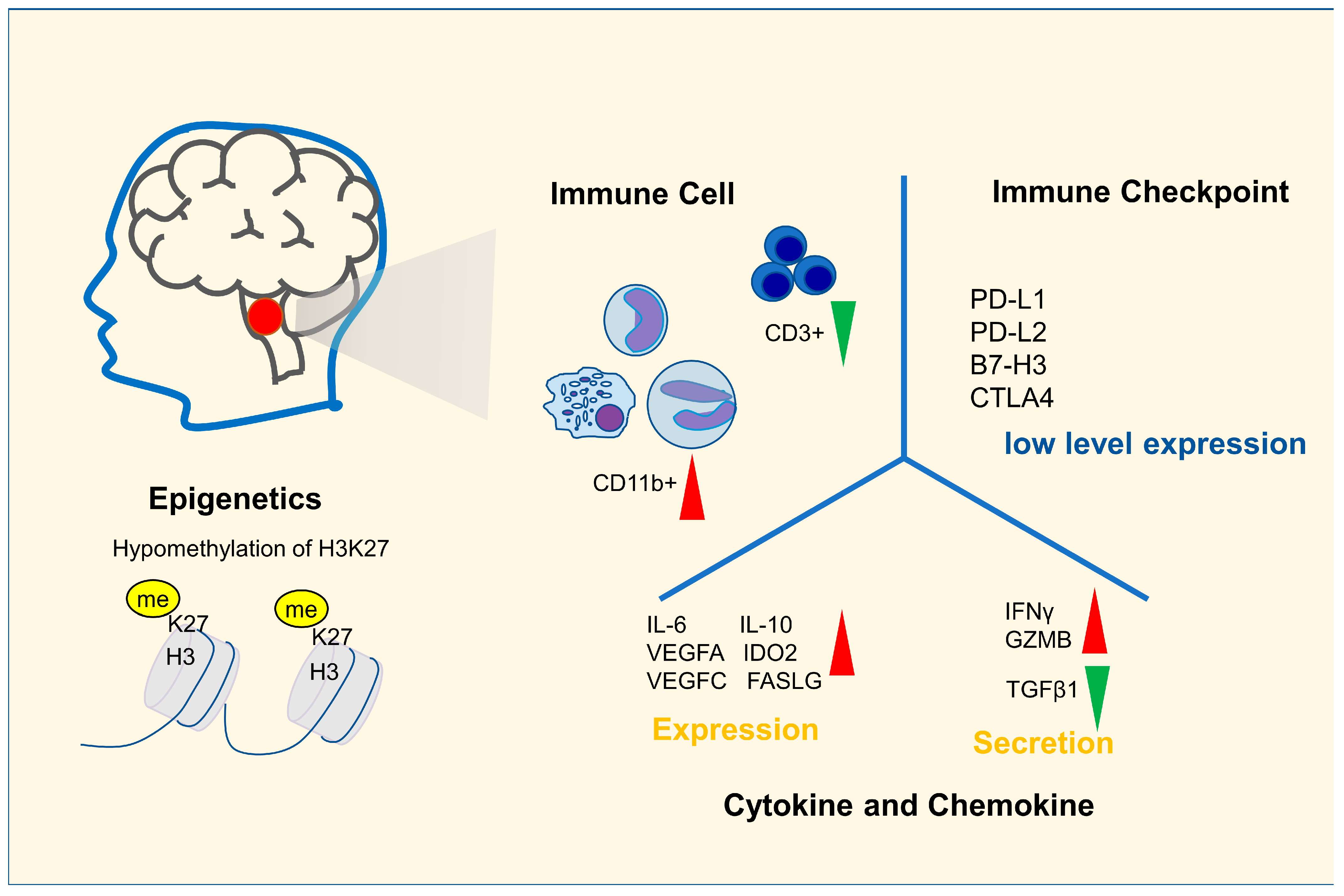 Cancers 15 00602 g001 Cancers 15 00602 g001