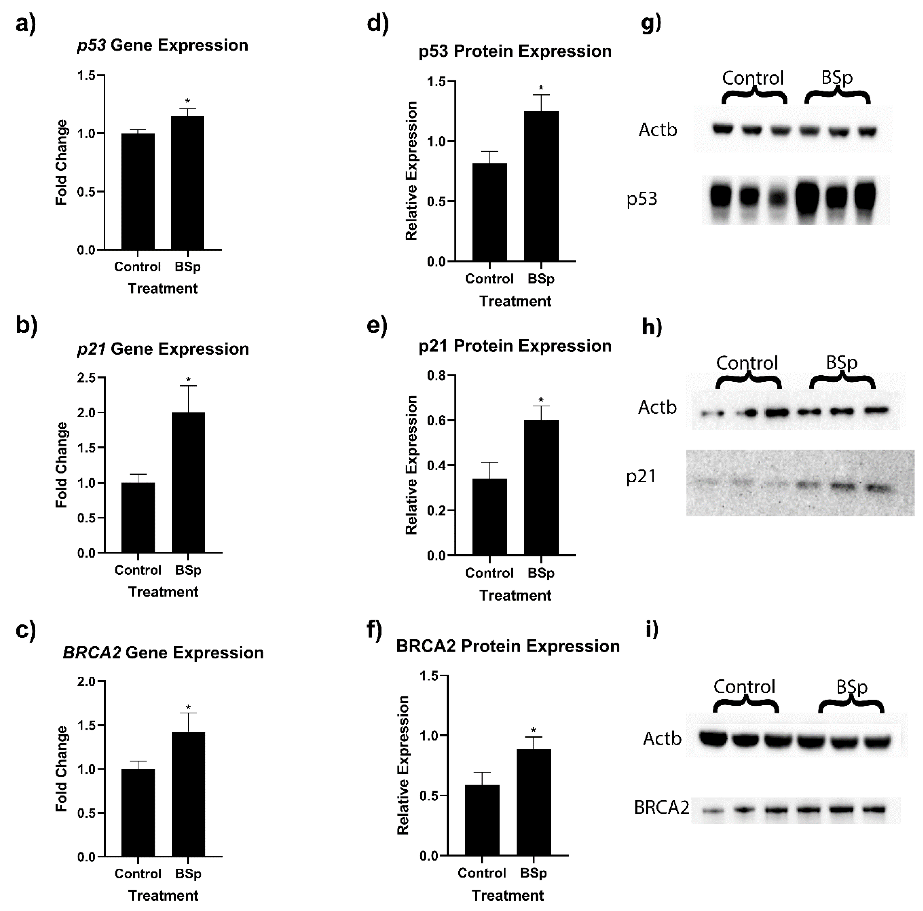 Cancers 15 00674 g004