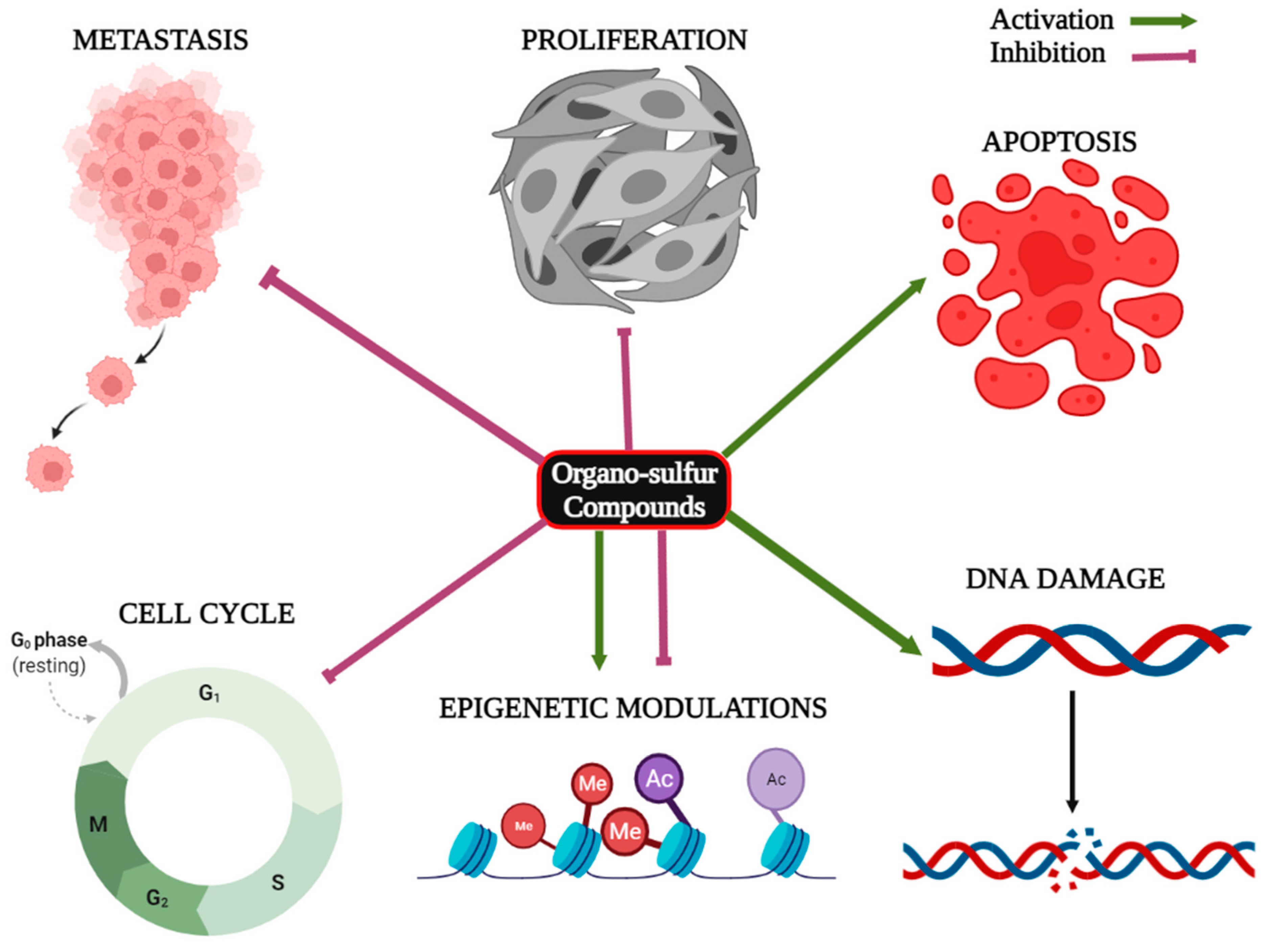 Cancers 15 00697 g003 Cancers 15 00697 g003