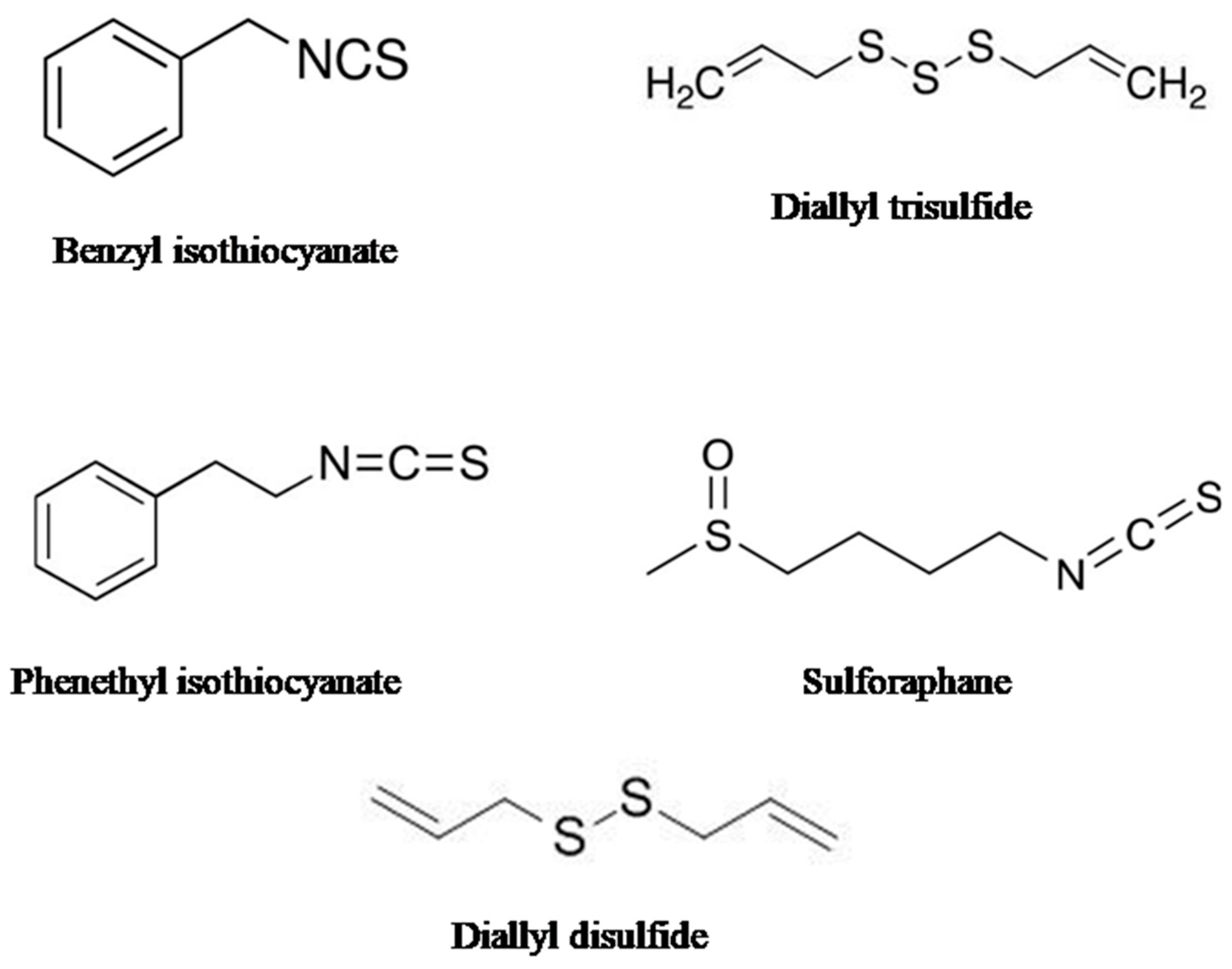 Cancers 15 00697 g004 Cancers 15 00697 g004