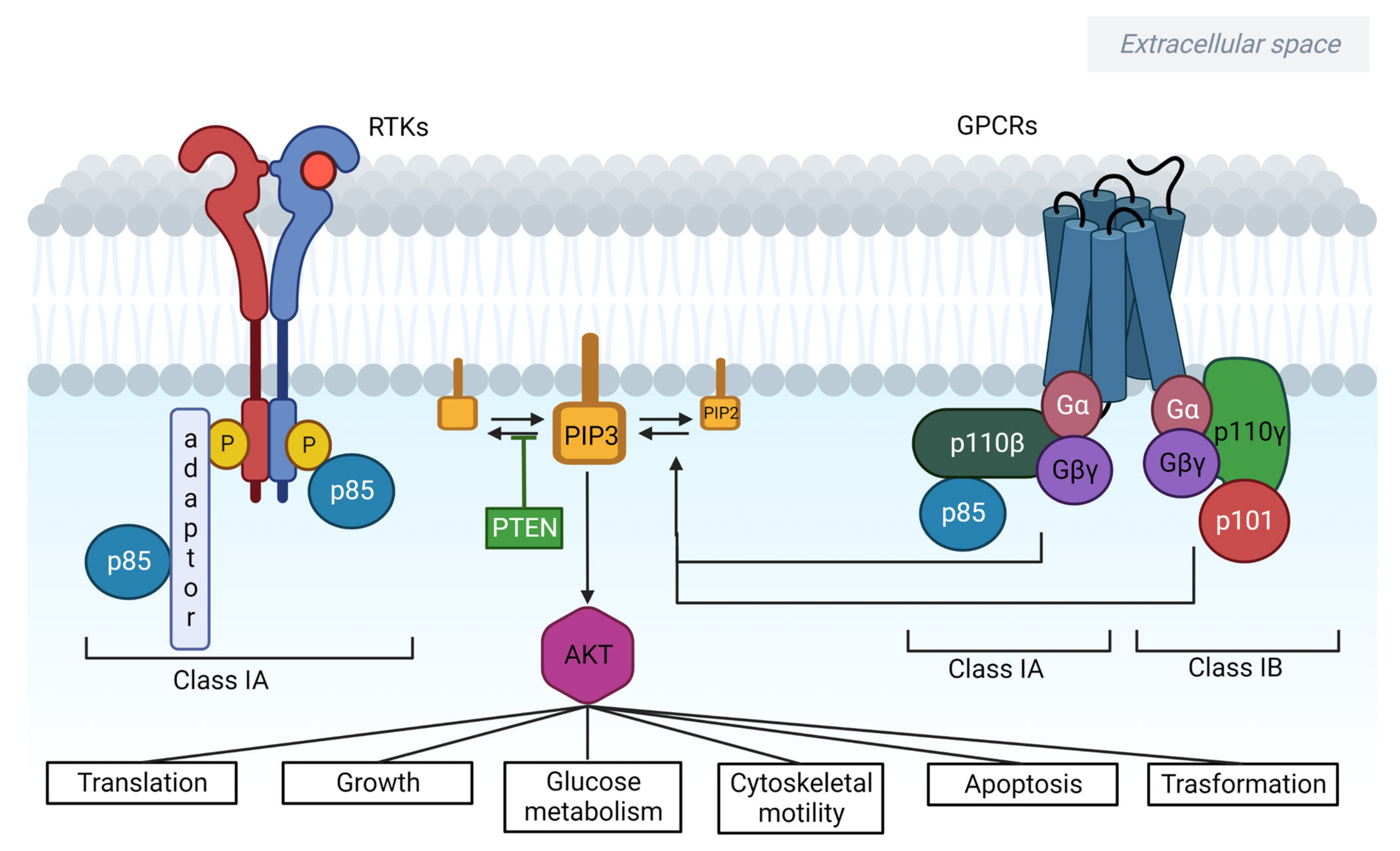 Cancers 15 00703 g001 Cancers 15 00703 g001