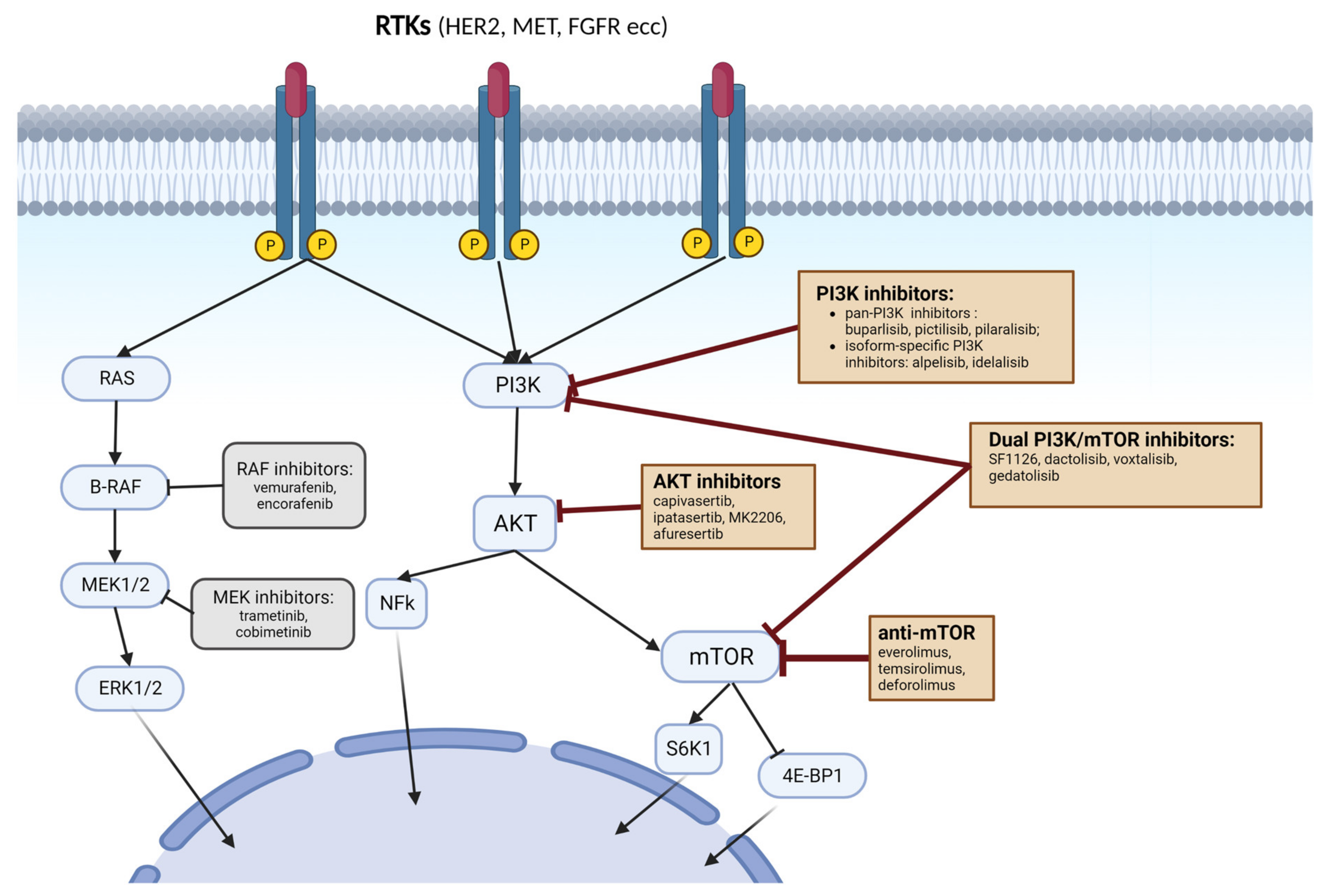 Cancers 15 00703 g002 Cancers 15 00703 g002