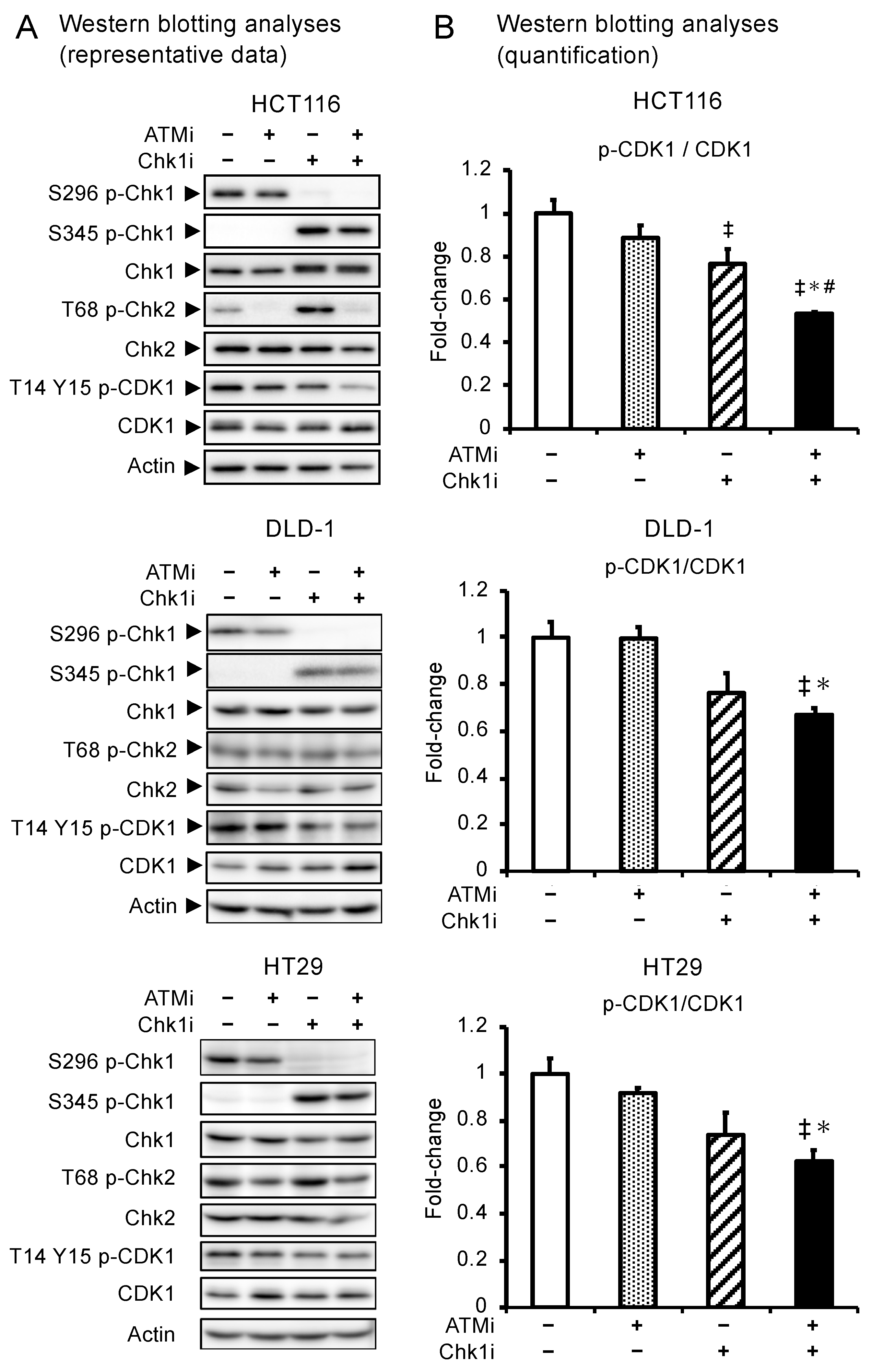 Cancers 15 00735 g002
