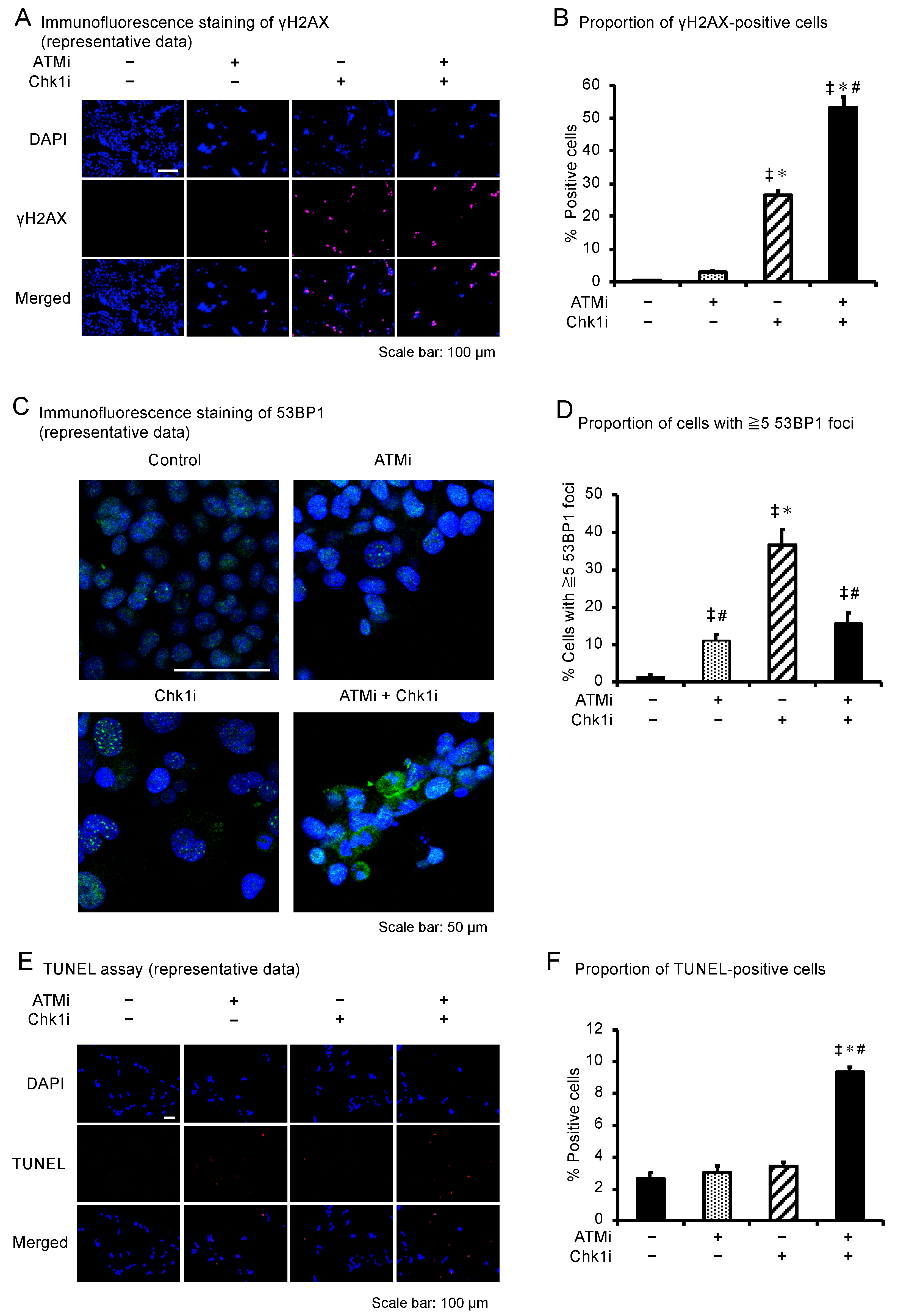 Cancers 15 00735 g004