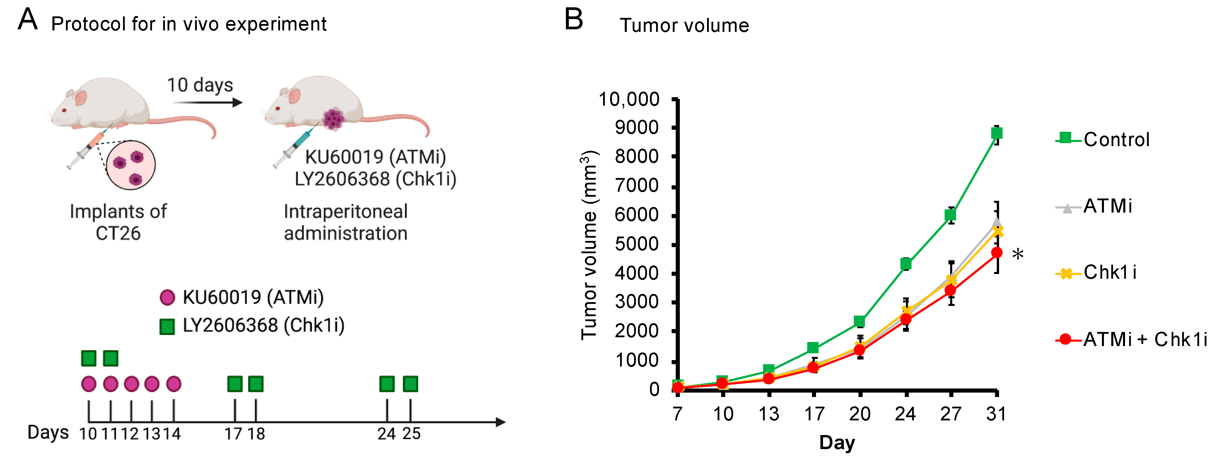 Cancers 15 00735 g005