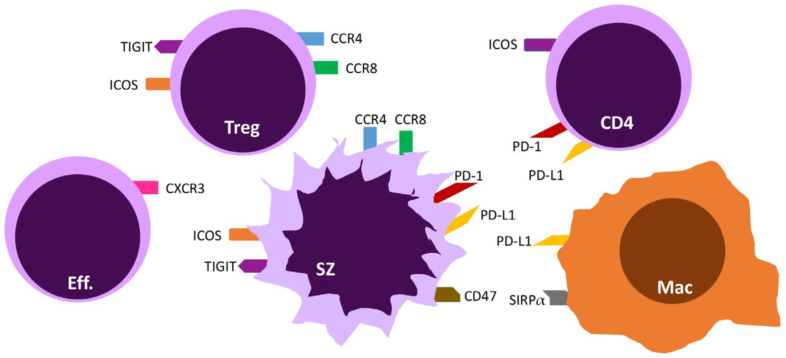Cancers 15 00746 g002 Cancers 15 00746 g002