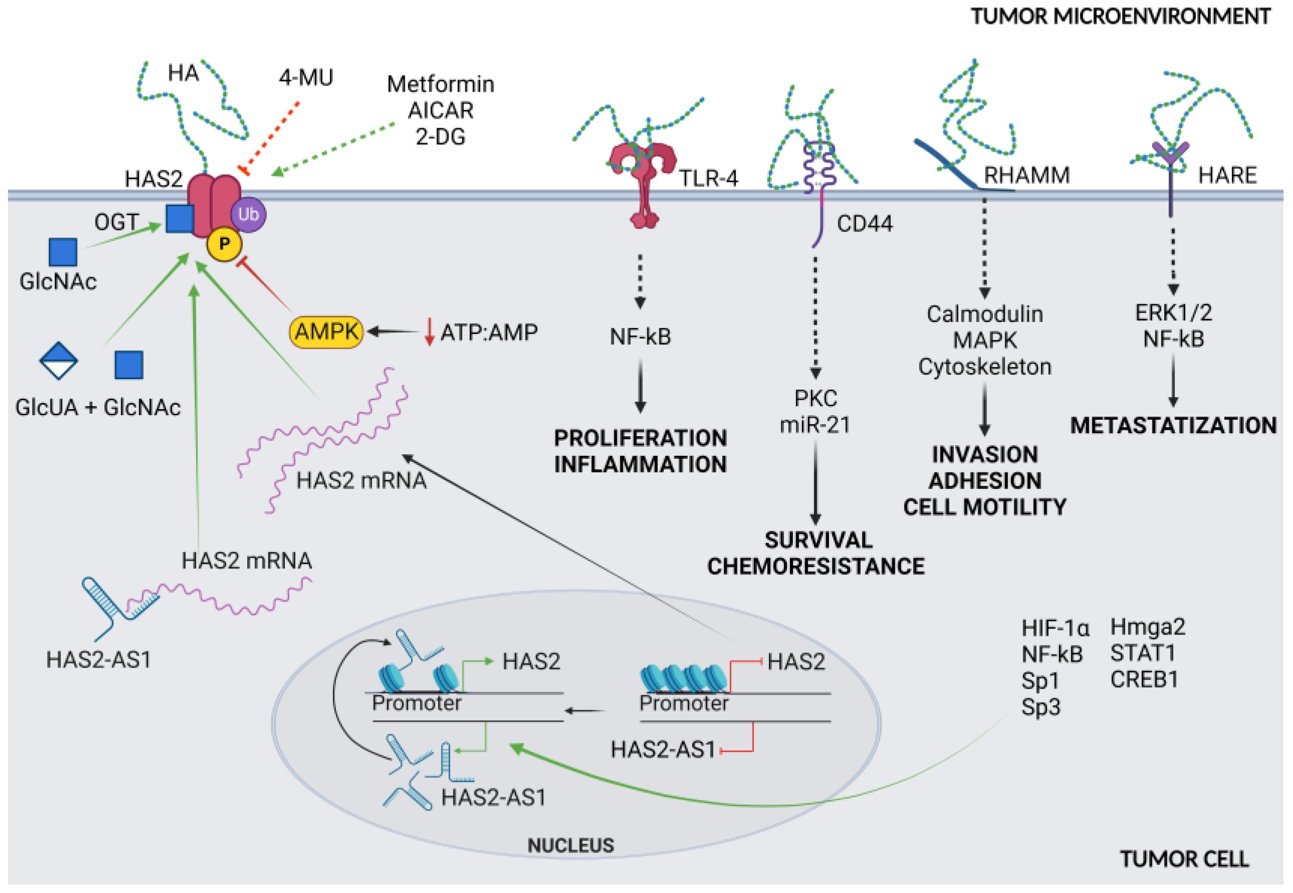Cancers 15 00798 g001 Cancers 15 00798 g001