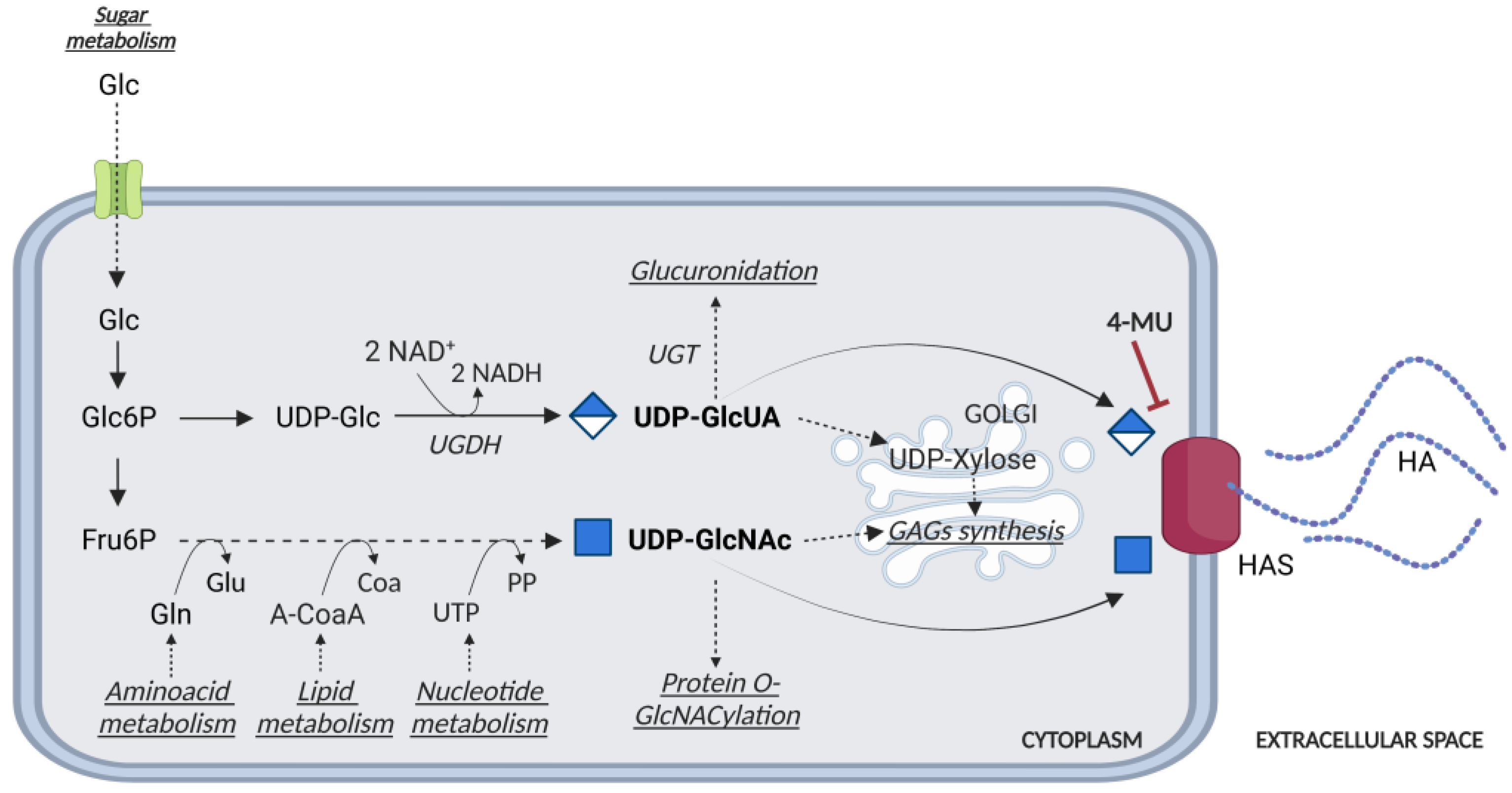 Cancers 15 00798 g002 Cancers 15 00798 g002