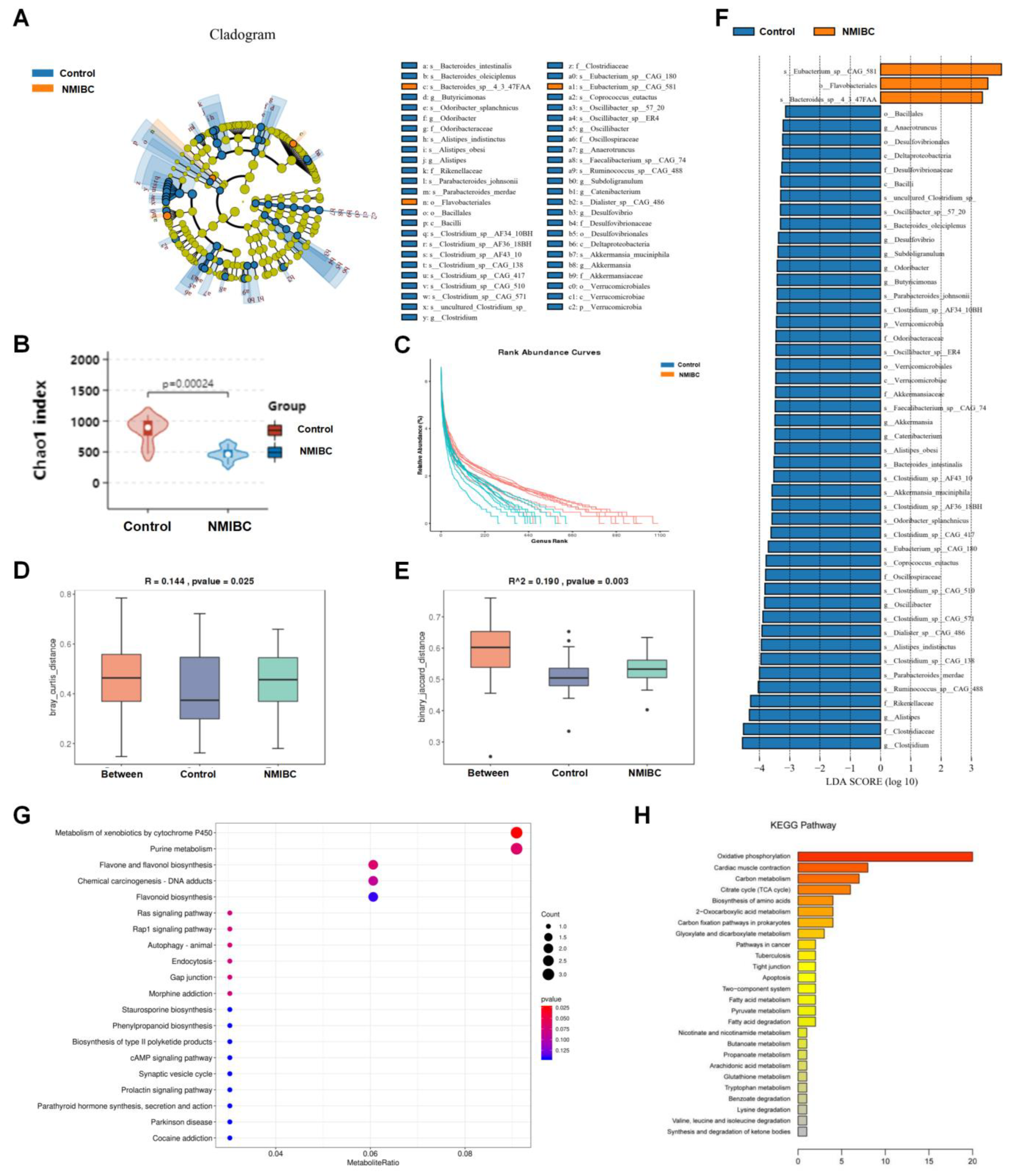 Cancers 15 00809 g001 Cancers 15 00809 g001