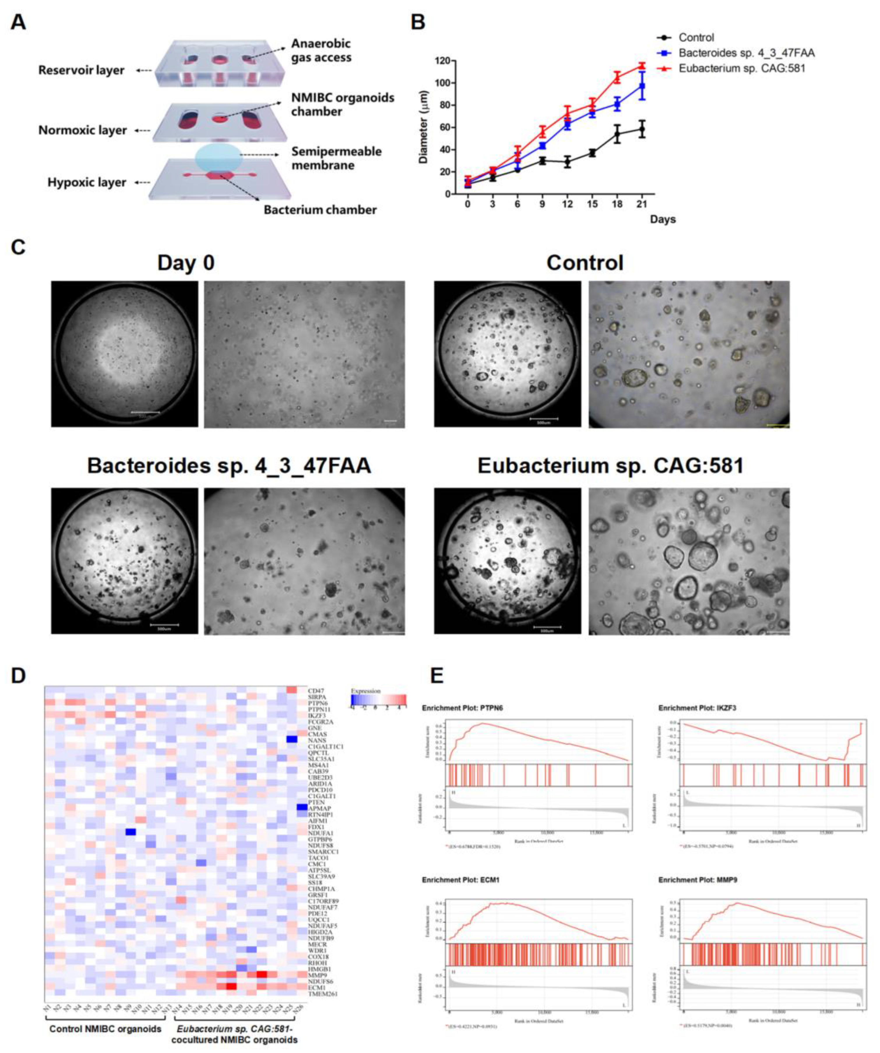 Cancers 15 00809 g002 Cancers 15 00809 g002