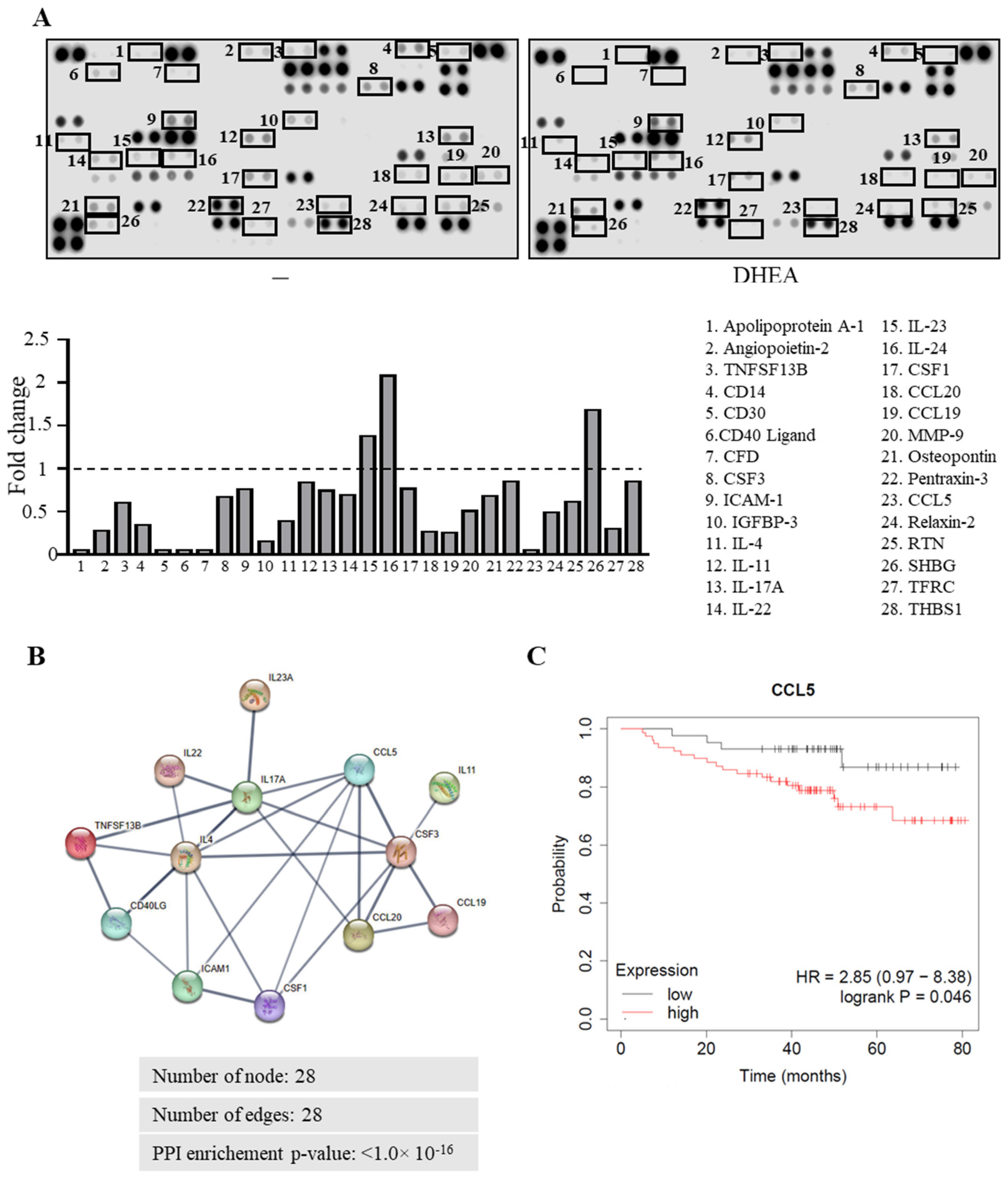 Cancers 15 00819 g004 Cancers 15 00819 g004