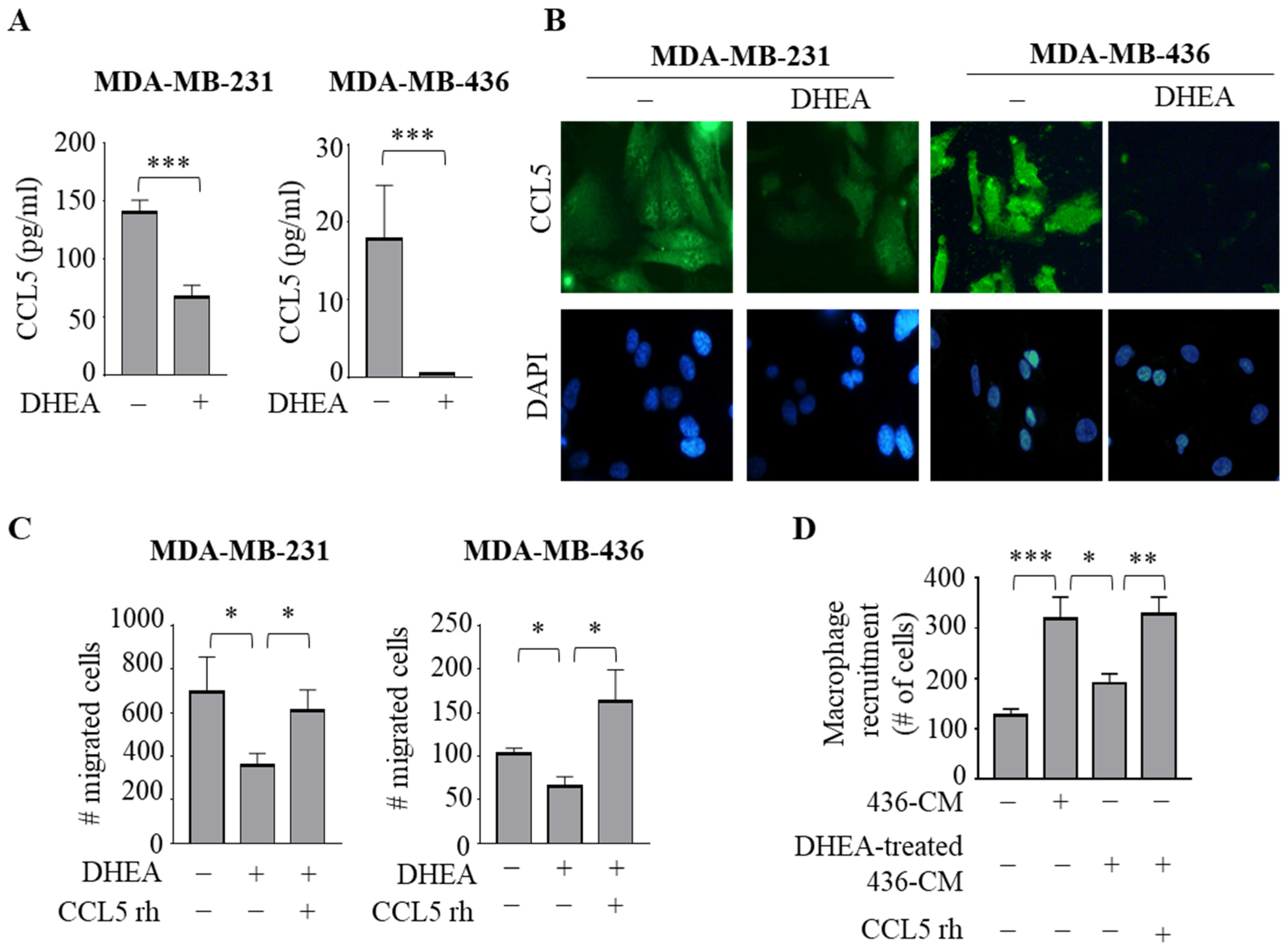 Cancers 15 00819 g005 Cancers 15 00819 g005