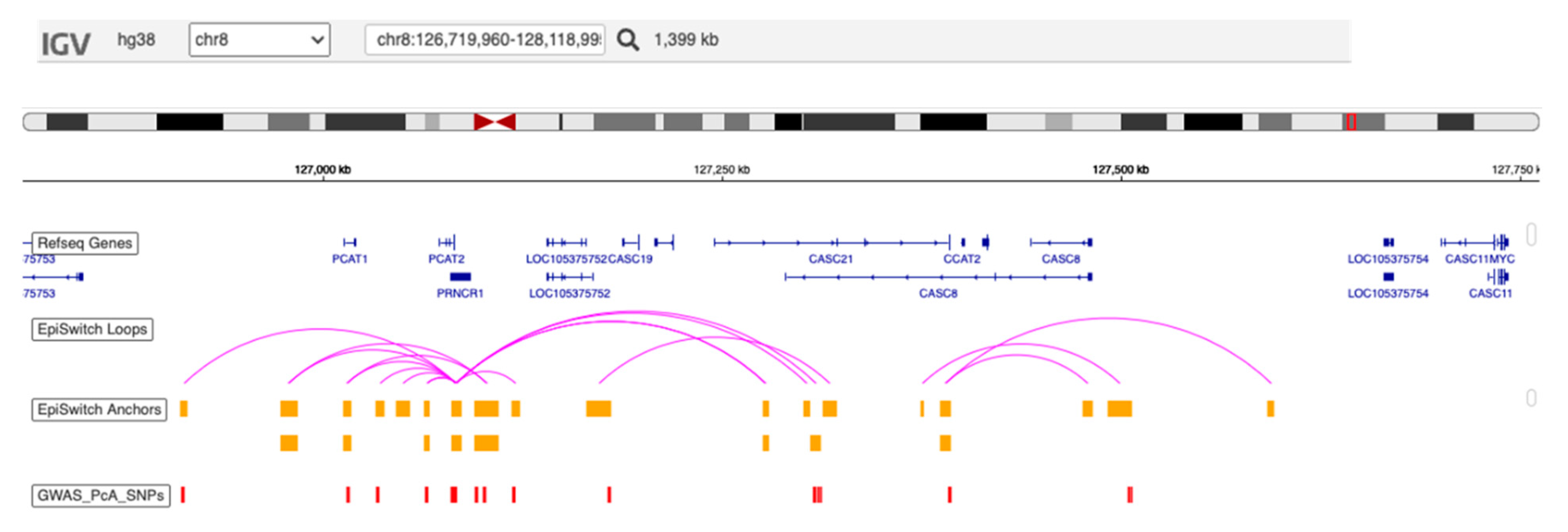 Cancers 15 00821 g004 Cancers 15 00821 g004