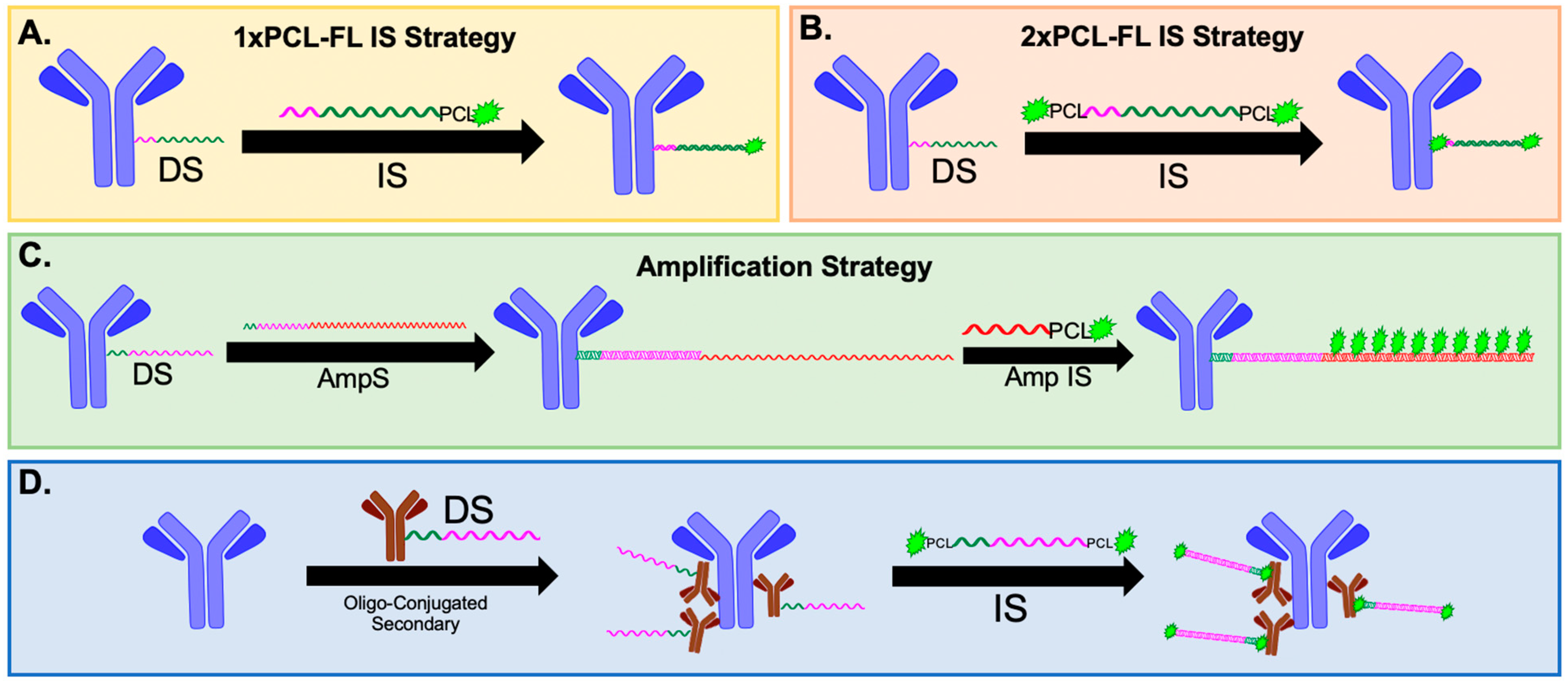 Cancers Free Full Text Flexible Cyclic Immunofluorescence