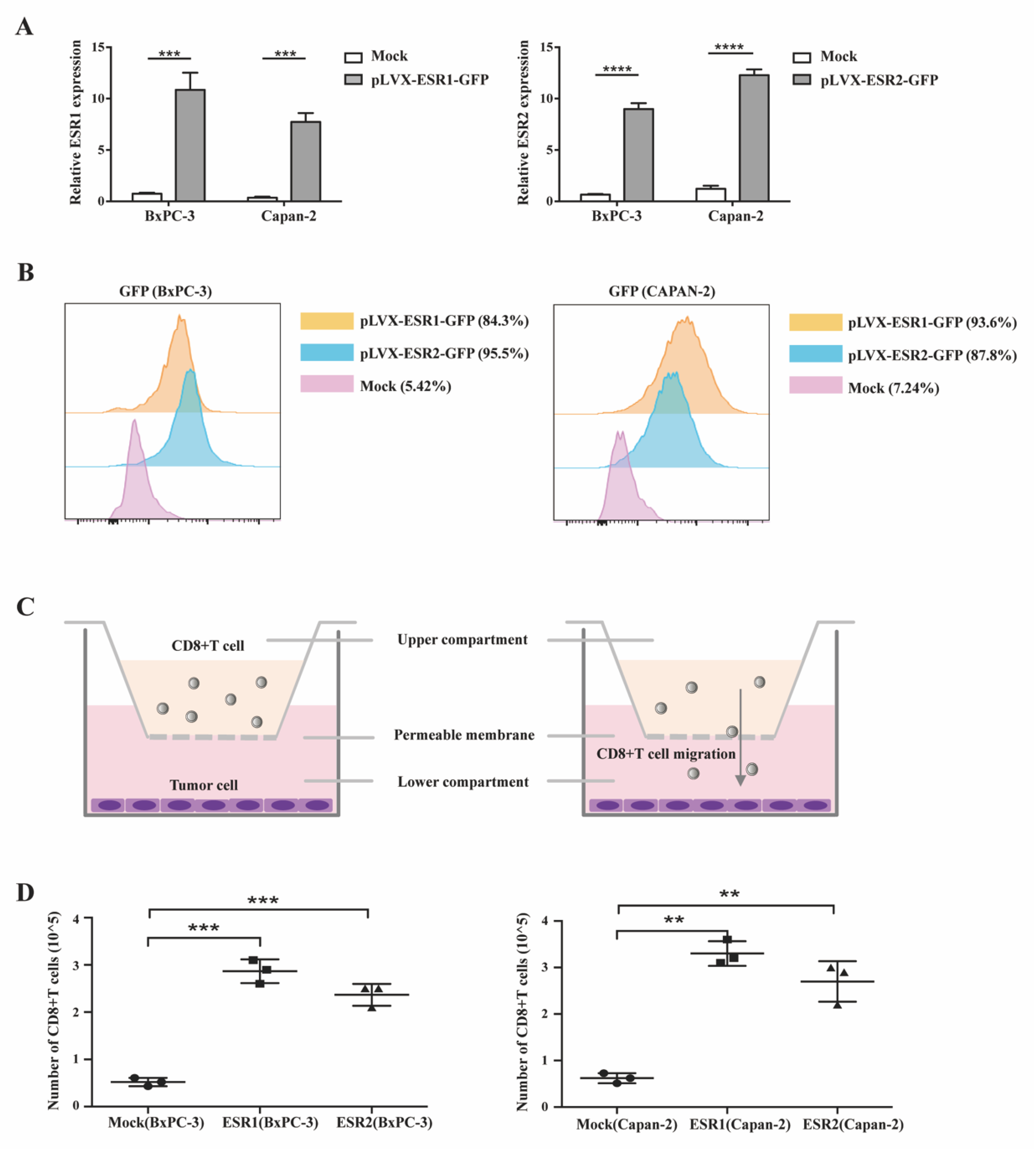 Cancers 15 00828 g005 Cancers 15 00828 g005