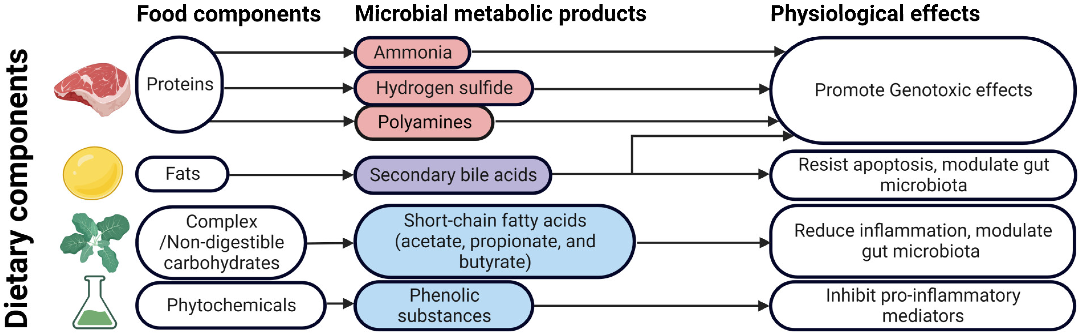 Cancers 15 00866 g002 Cancers 15 00866 g002