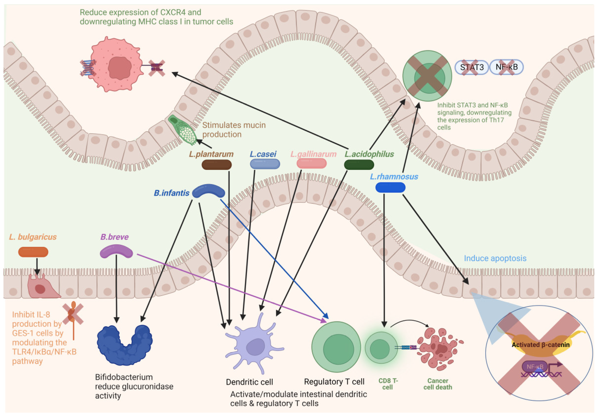 Cancers 15 00866 g003 Cancers 15 00866 g003