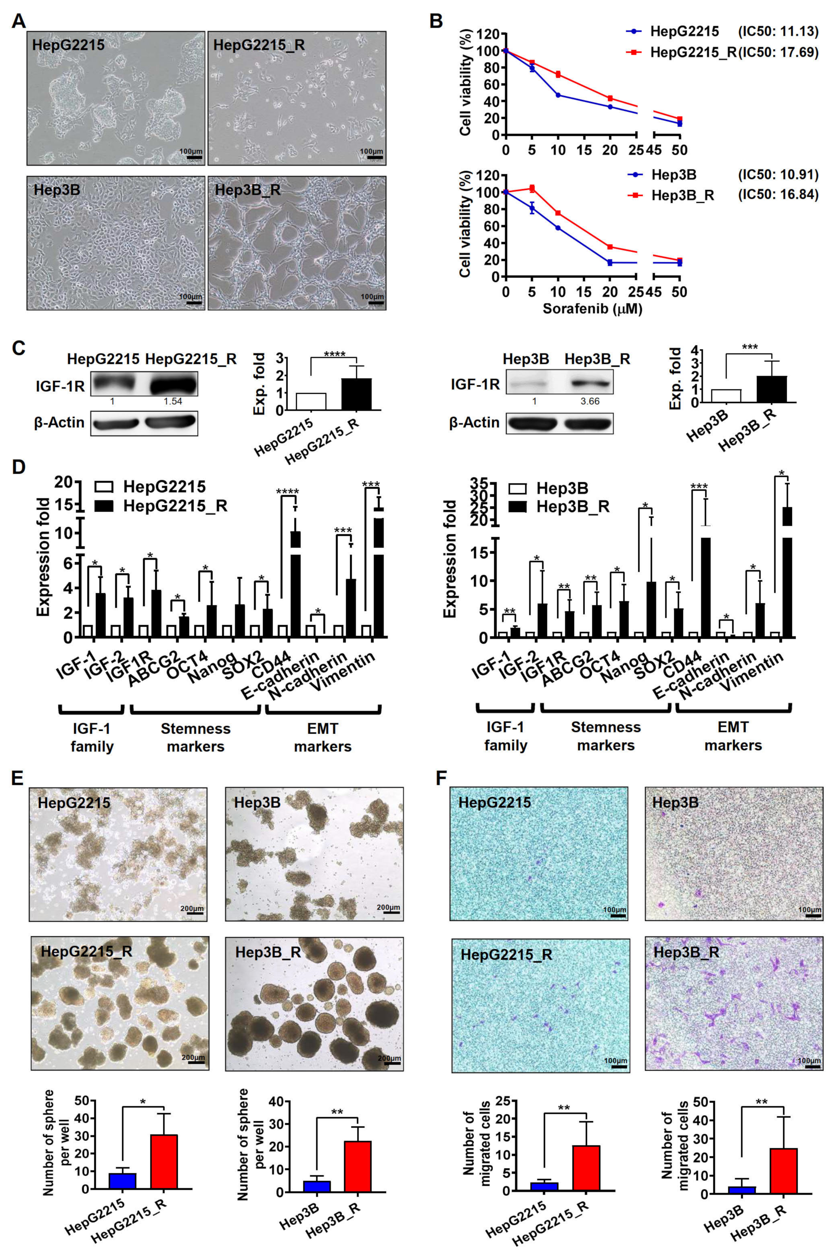 Cancers 15 00931 g001