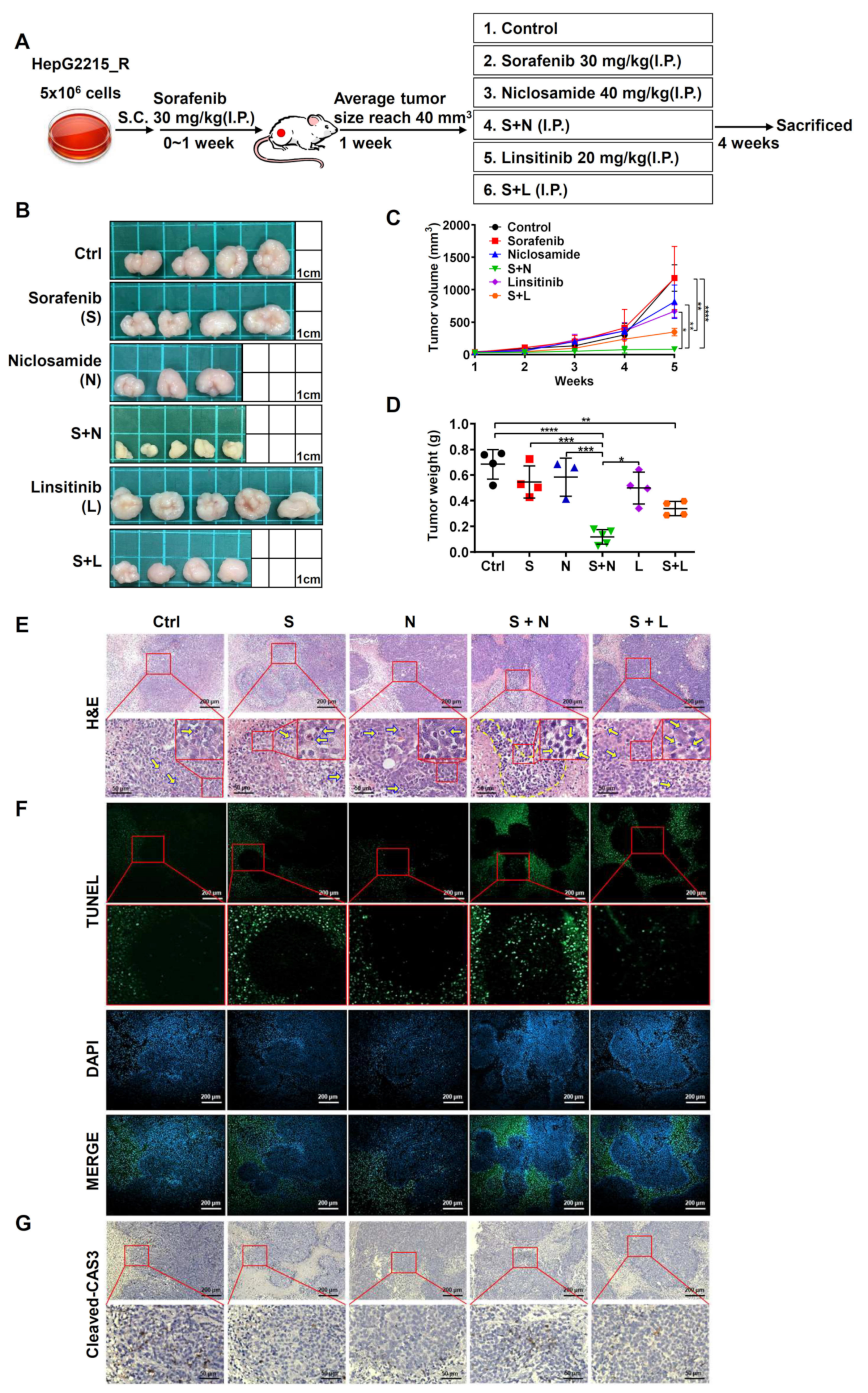 Cancers 15 00931 g005