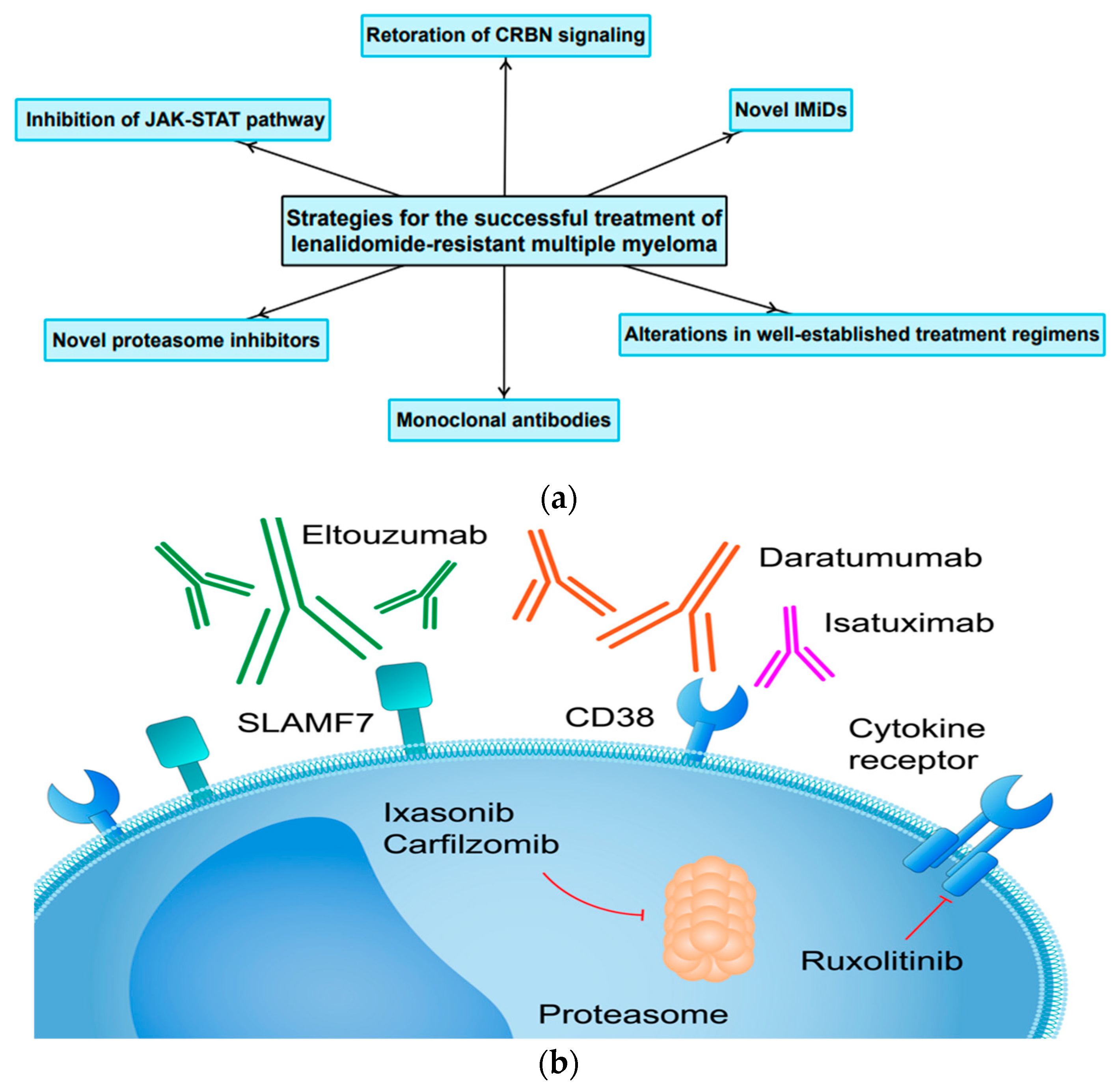 Cancers 15 00963 g004