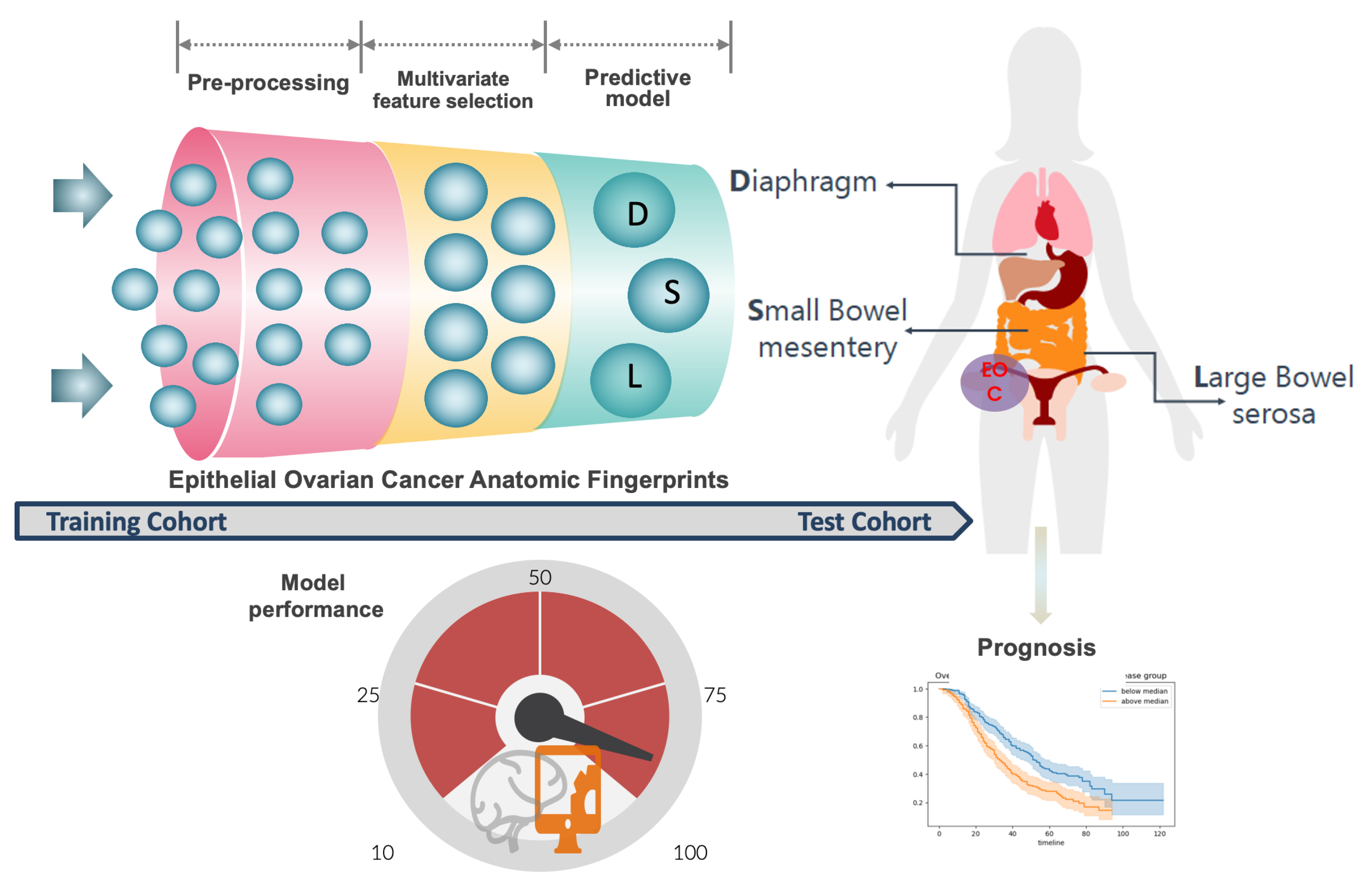 Cancers 15 00966 g008 Cancers 15 00966 g008