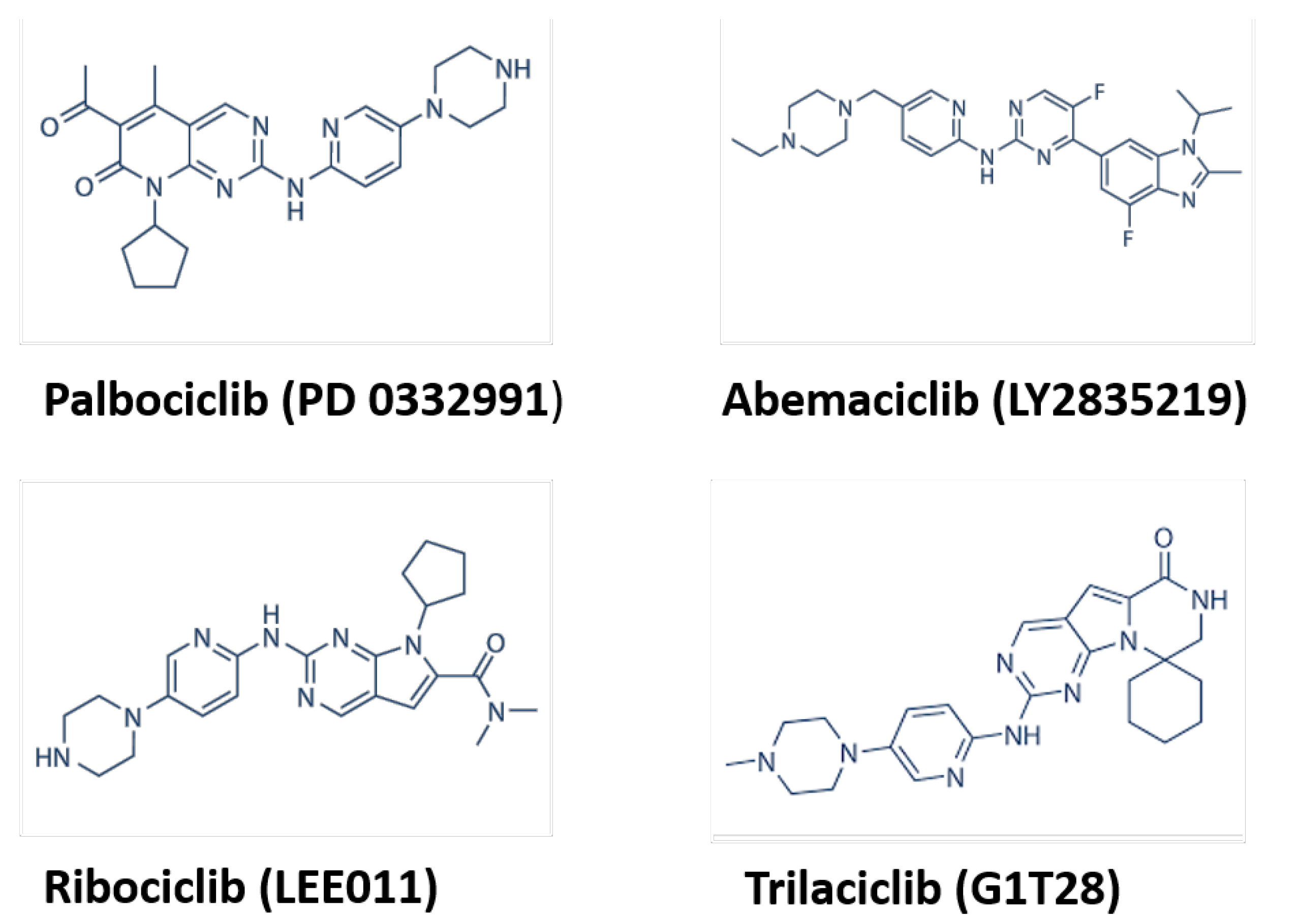 Cancers 15 00968 g002 Cancers 15 00968 g002