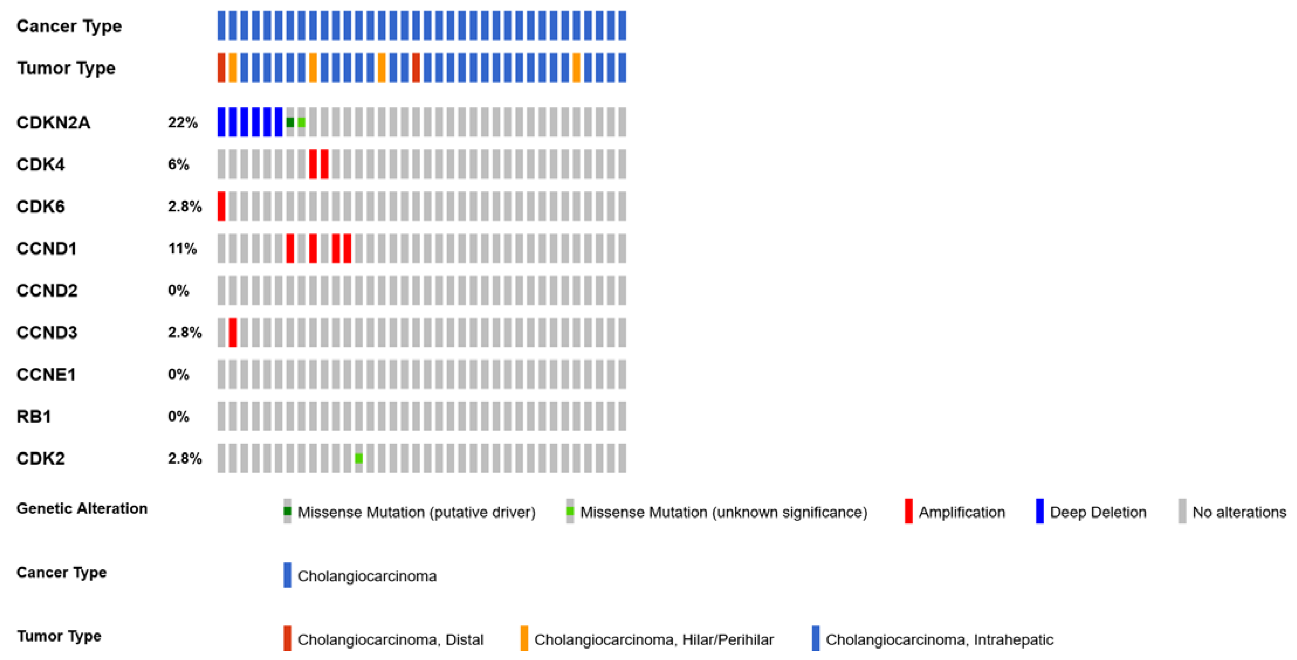Cancers 15 00968 g004 Cancers 15 00968 g004