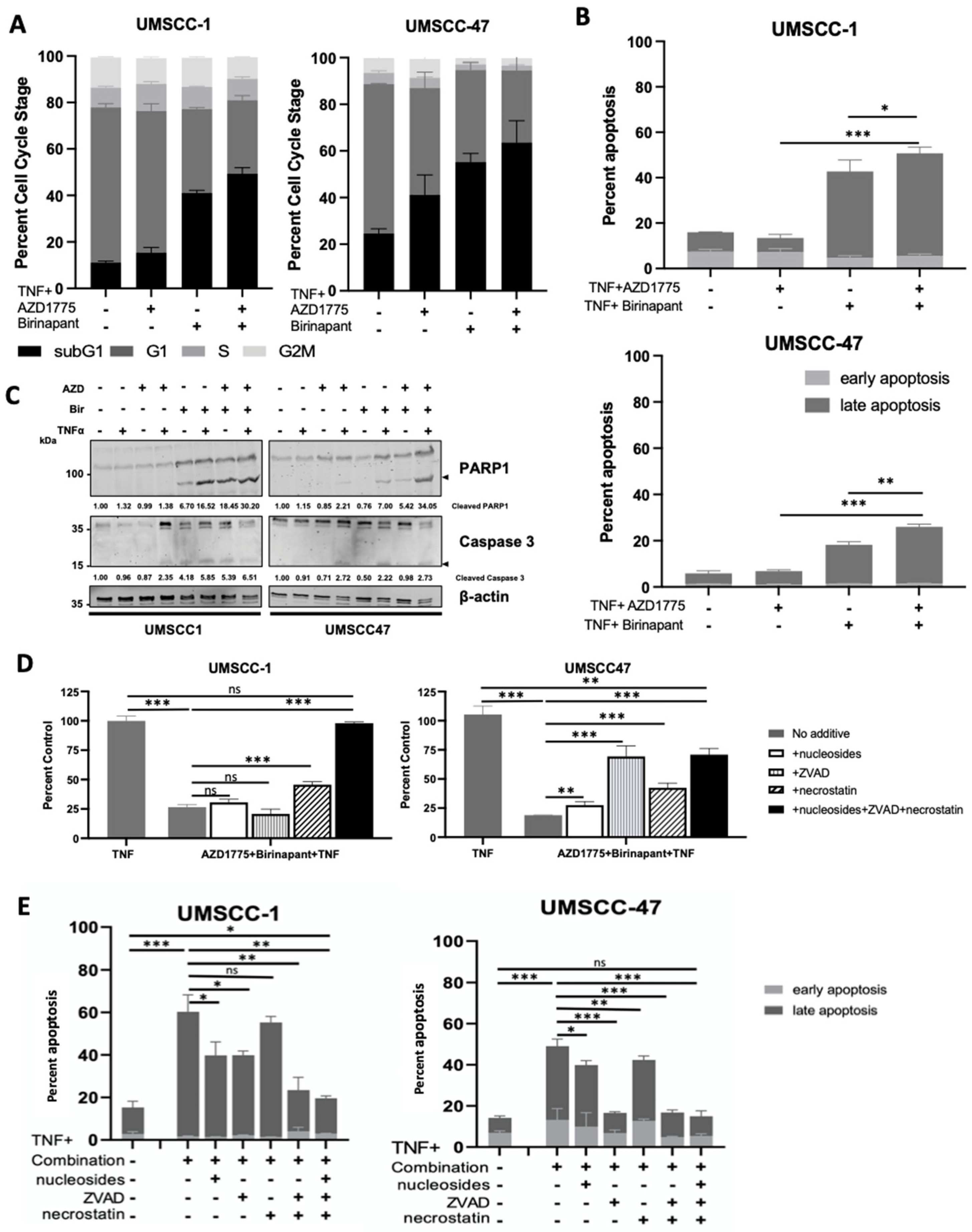 Cancers 15 01029 g002 Cancers 15 01029 g002