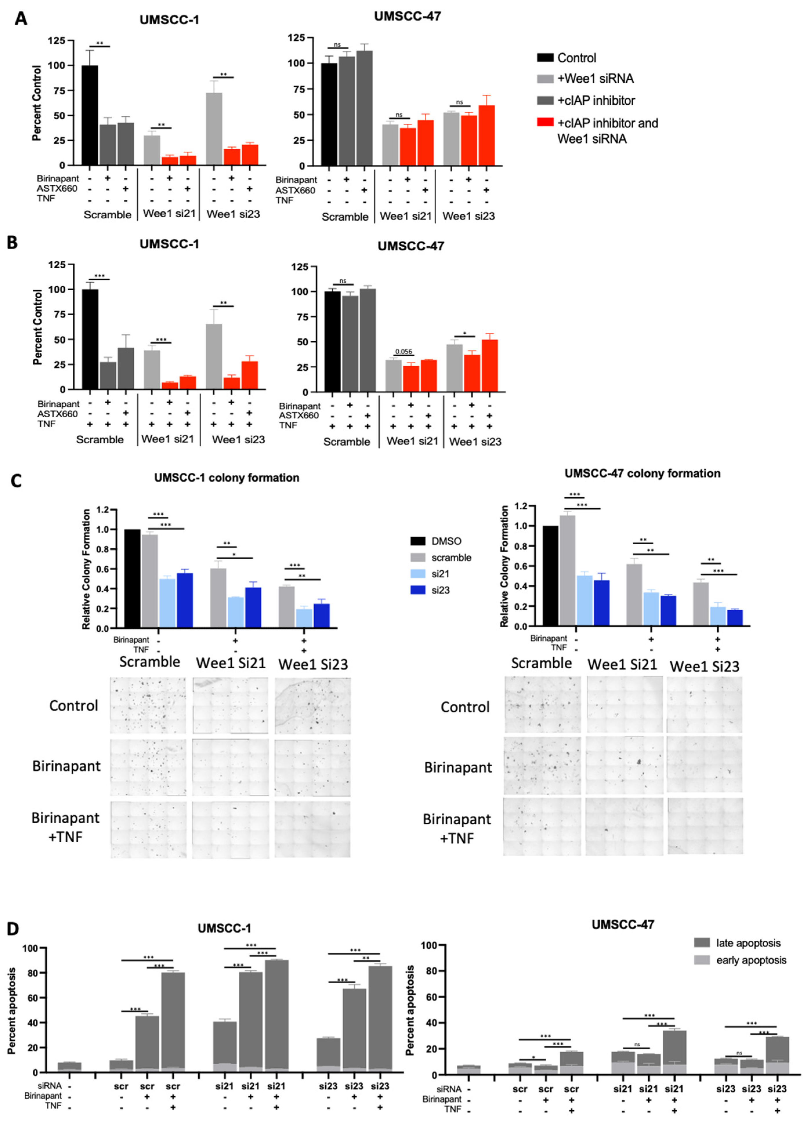 Cancers 15 01029 g003 Cancers 15 01029 g003
