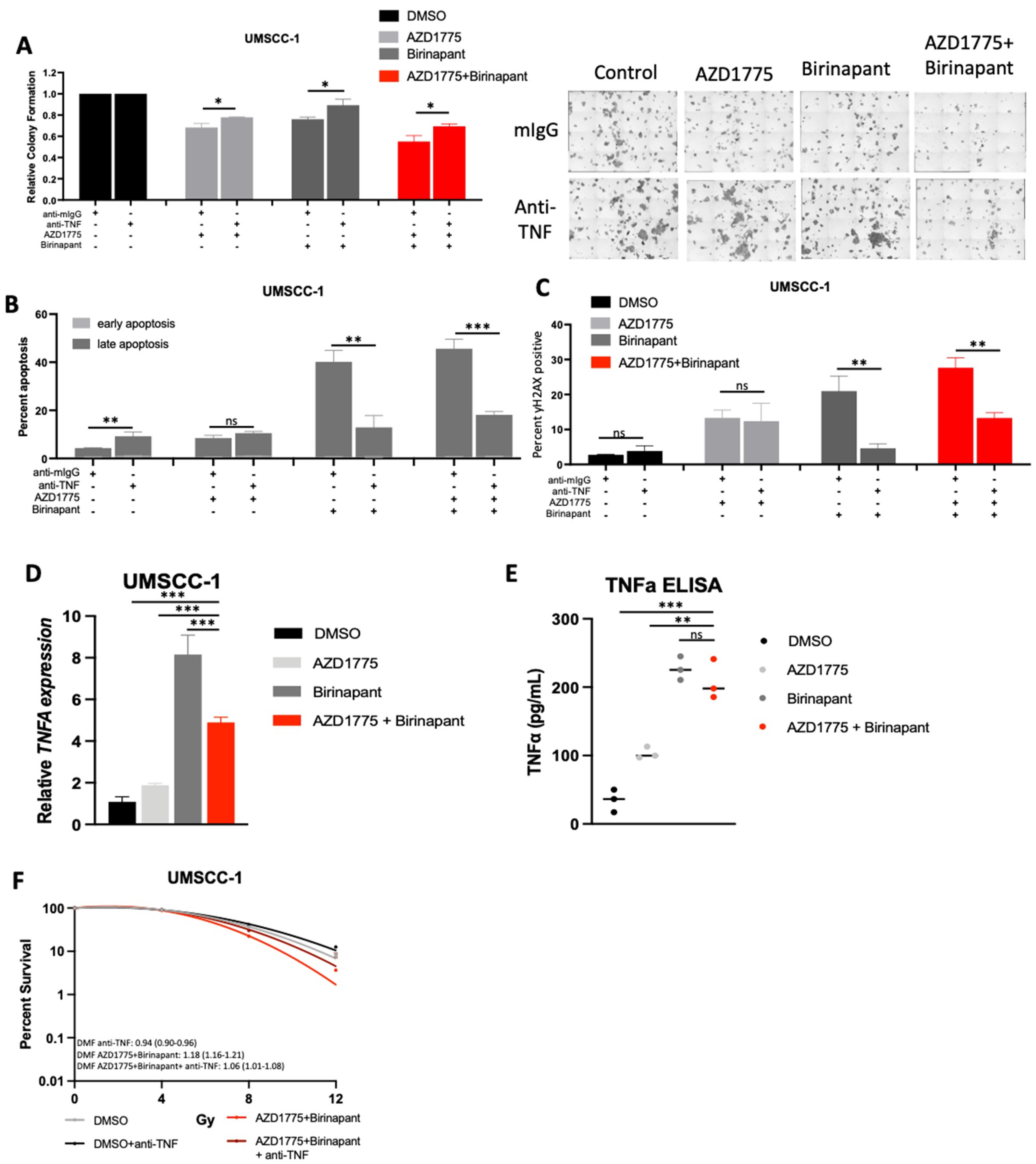Cancers 15 01029 g006 Cancers 15 01029 g006