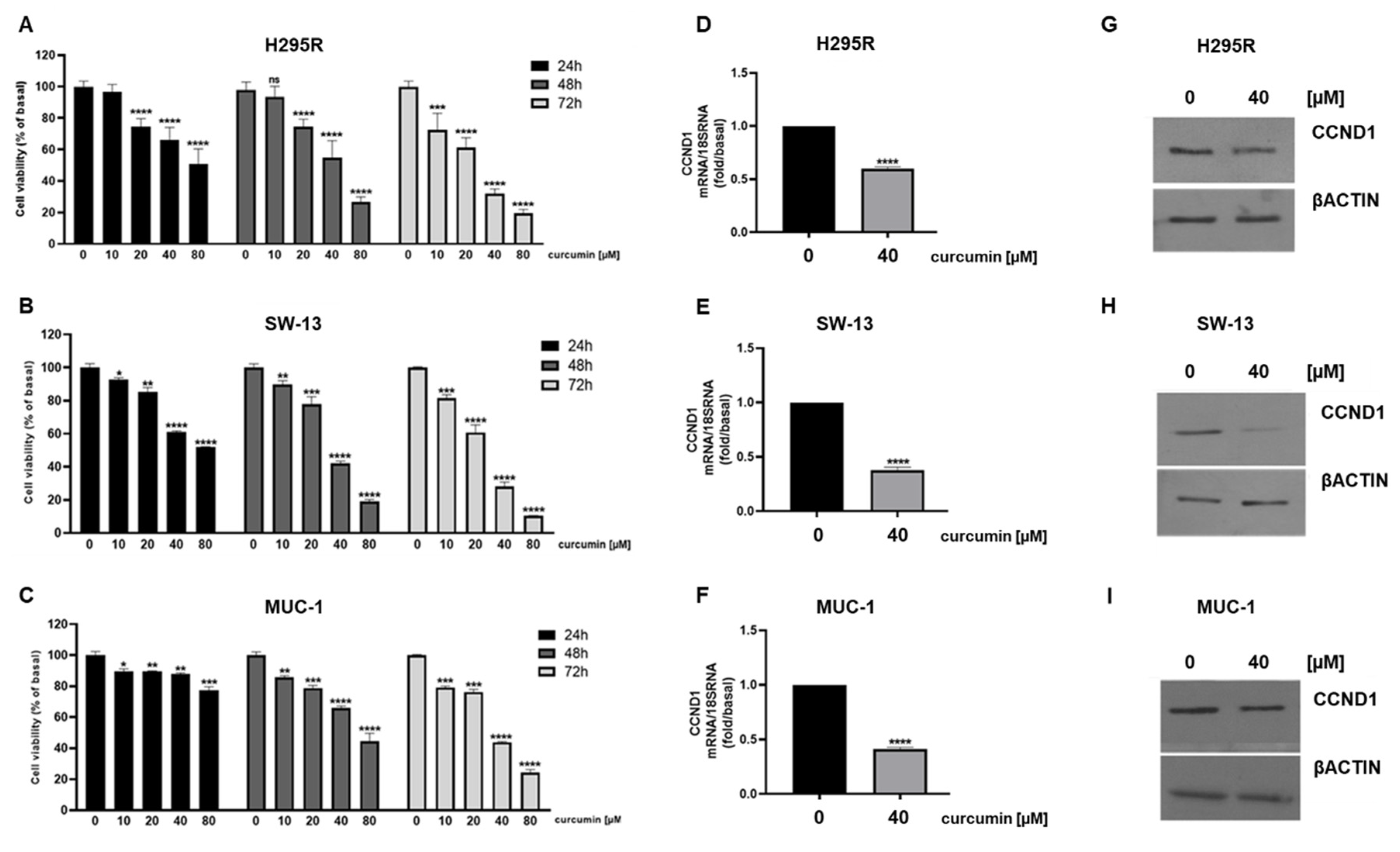Cancers 15 01050 g001